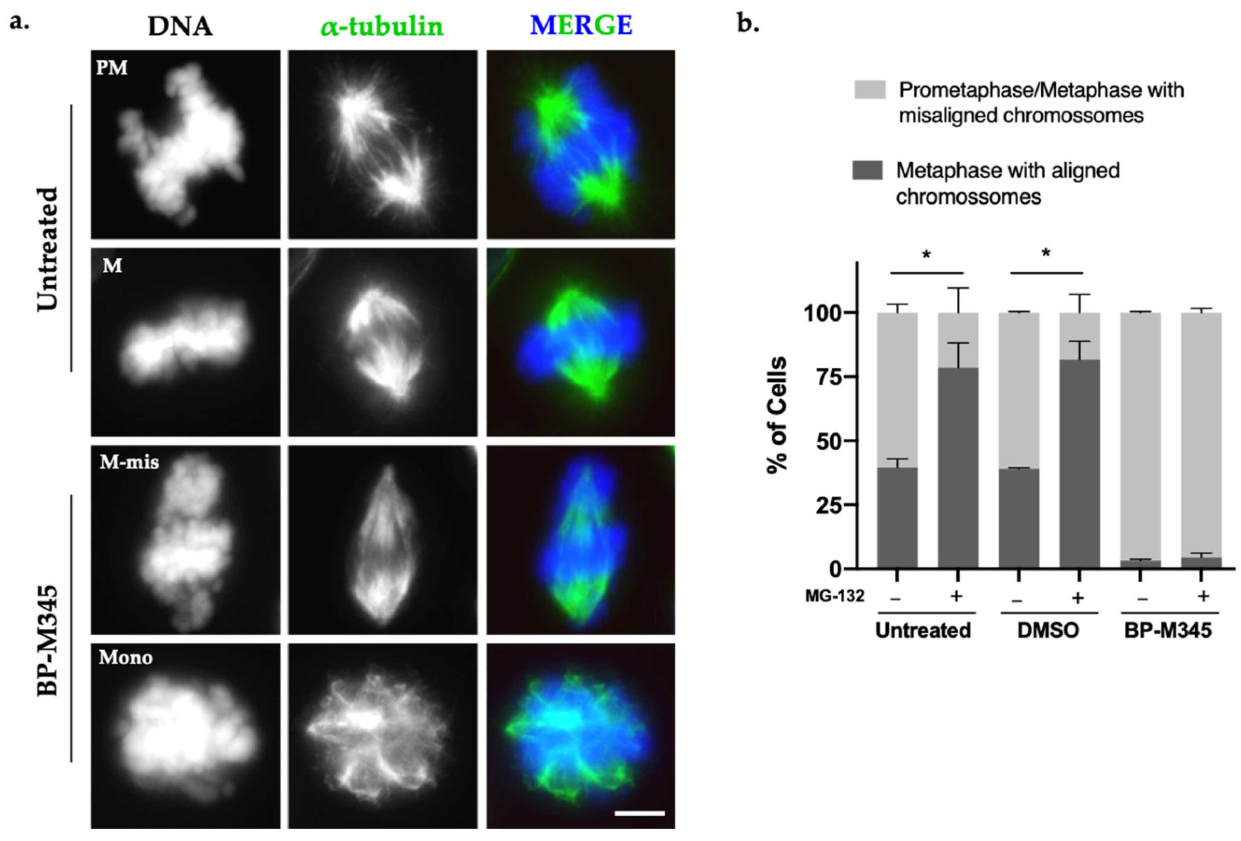 Molecules 26 07139 g003 Molecules 26 07139 g003