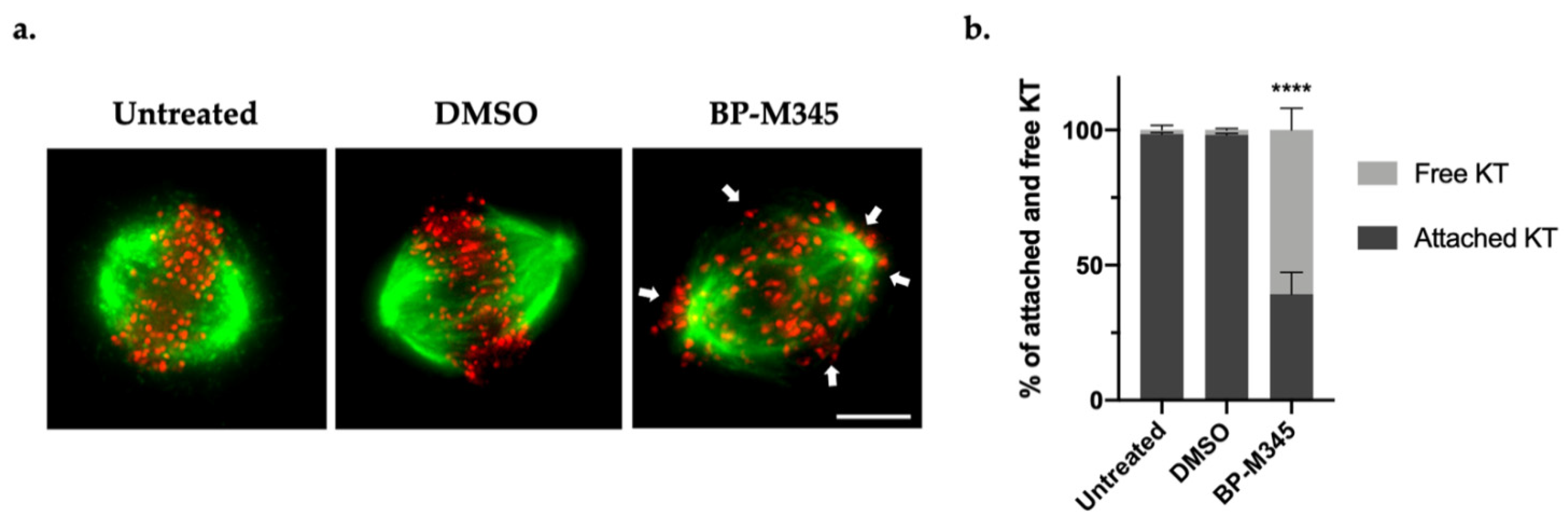 Molecules 26 07139 g004 Molecules 26 07139 g004