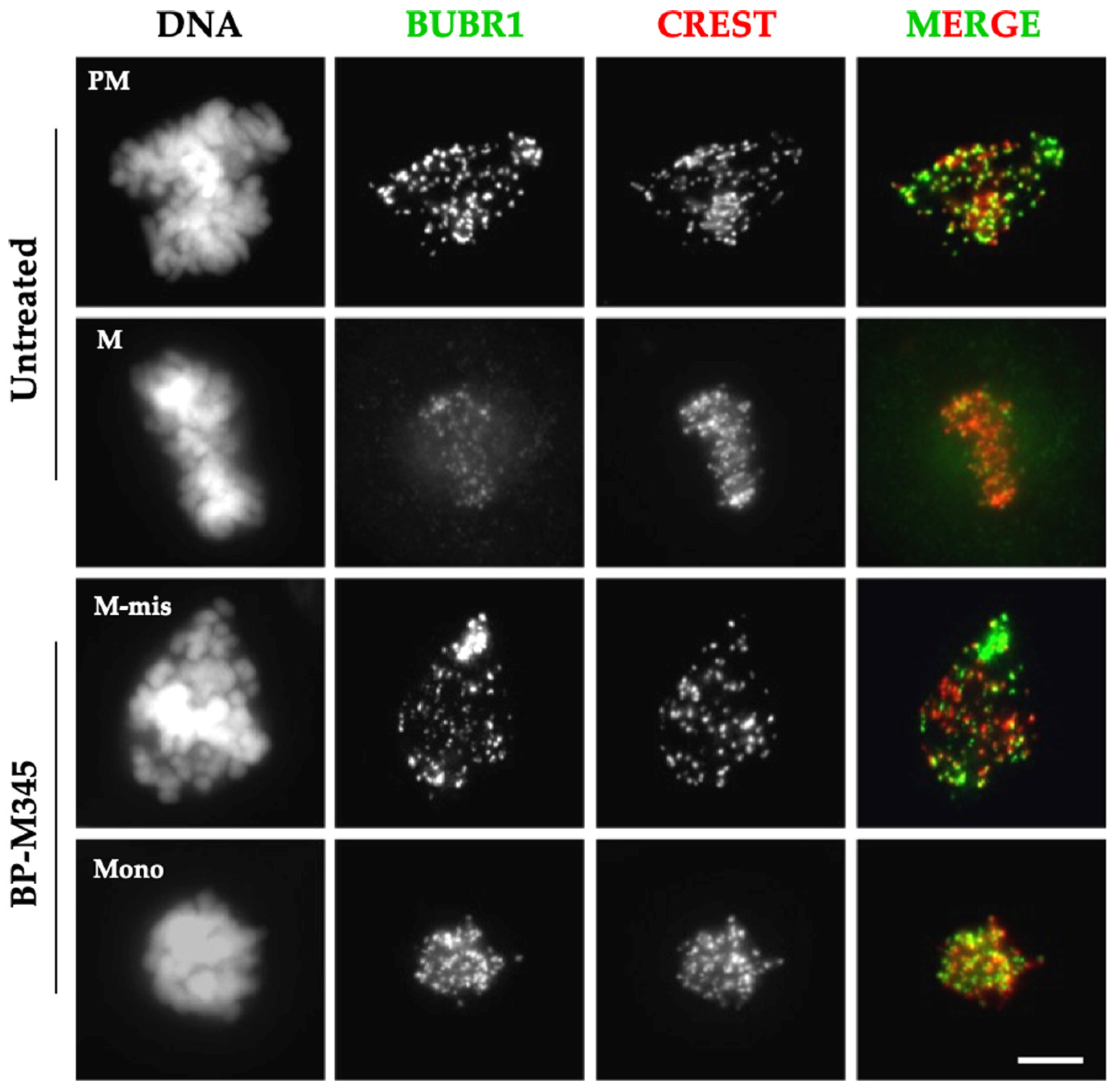 Molecules 26 07139 g005 Molecules 26 07139 g005