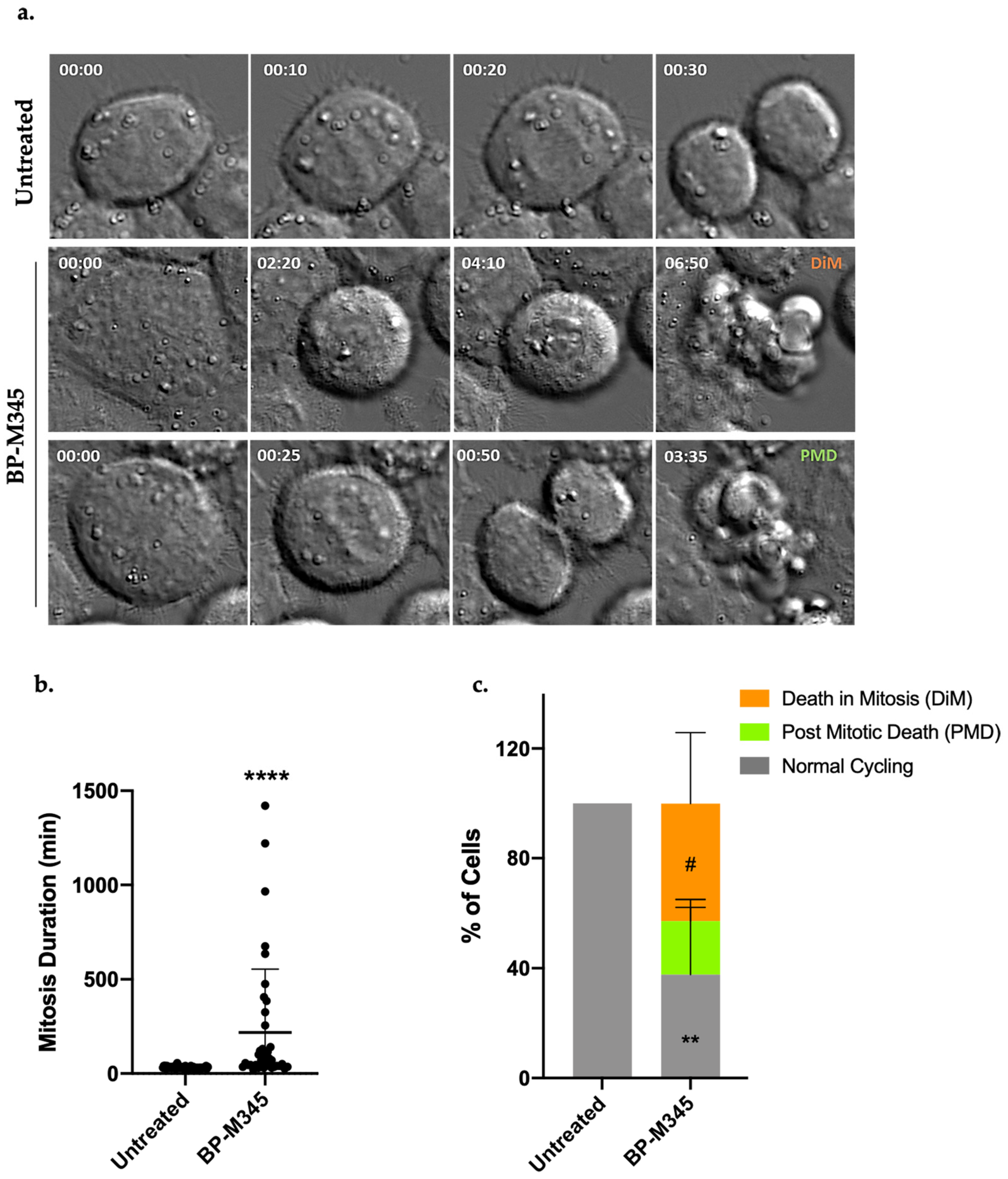 Molecules 26 07139 g006 Molecules 26 07139 g006
