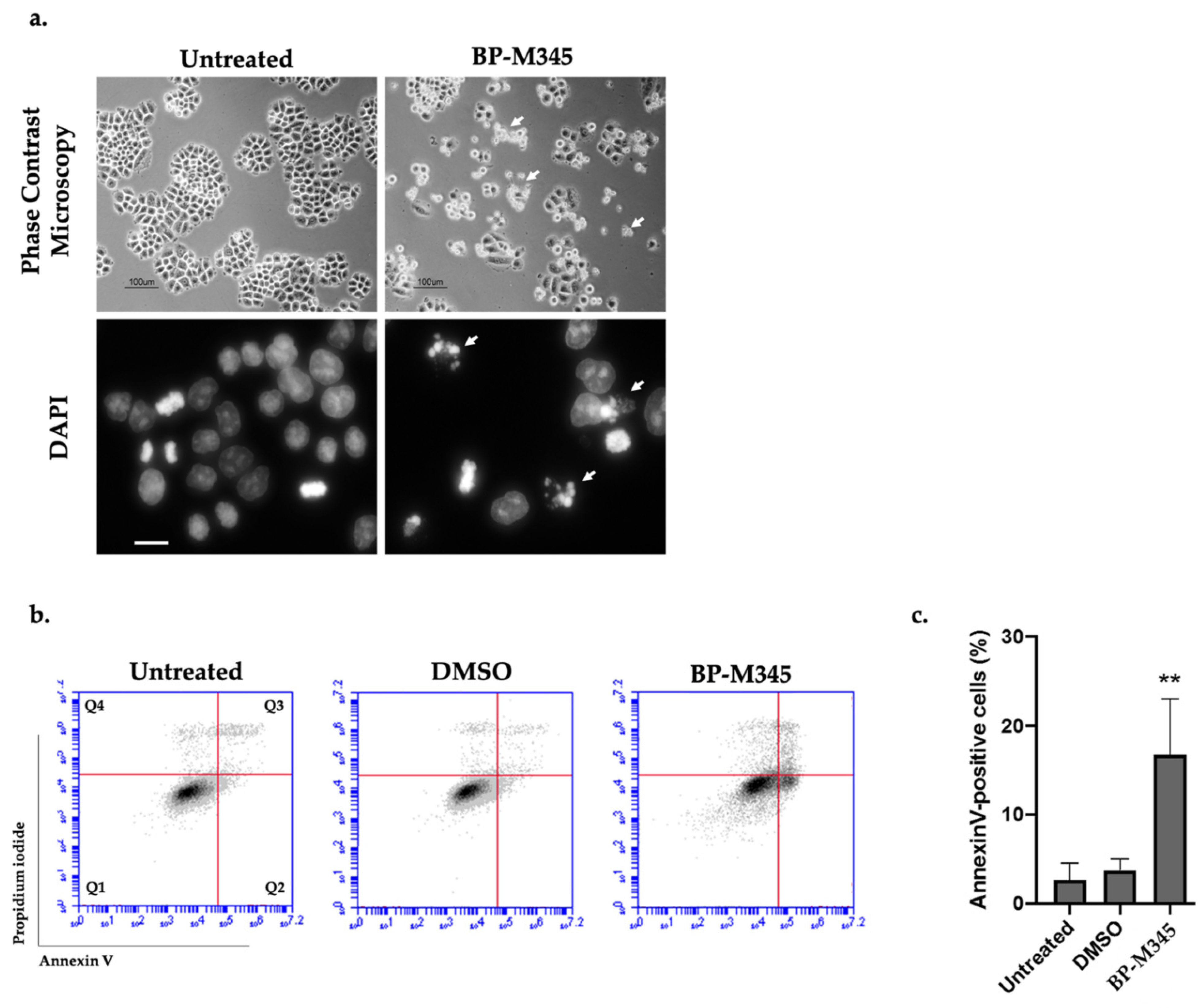 Molecules 26 07139 g007 Molecules 26 07139 g007