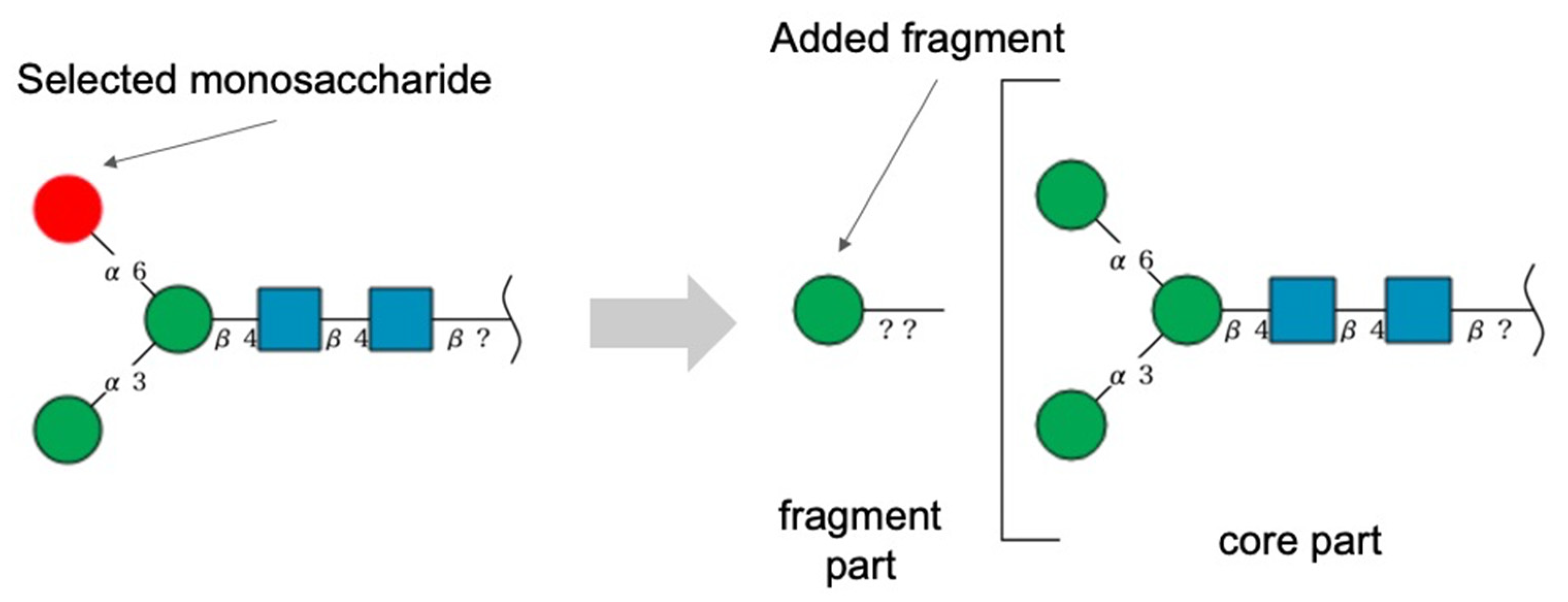 Molecules 26 07149 g004