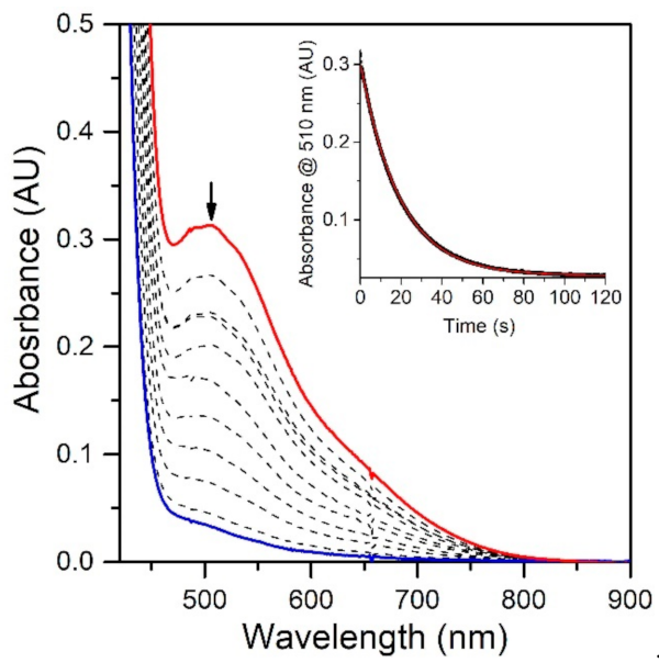 Molecules 26 07151 g005