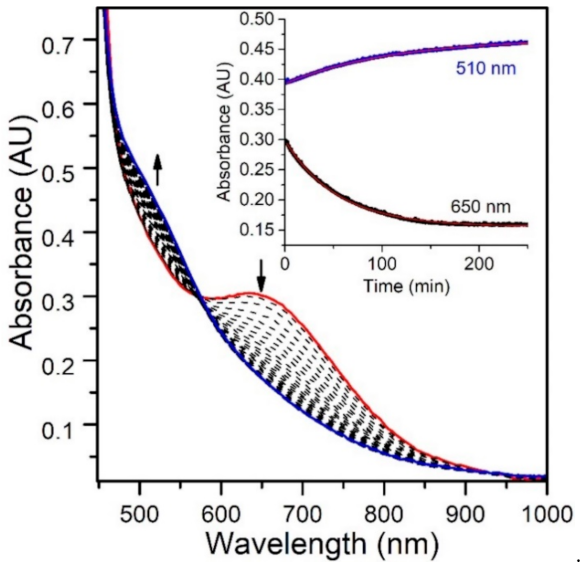 Molecules 26 07151 g009