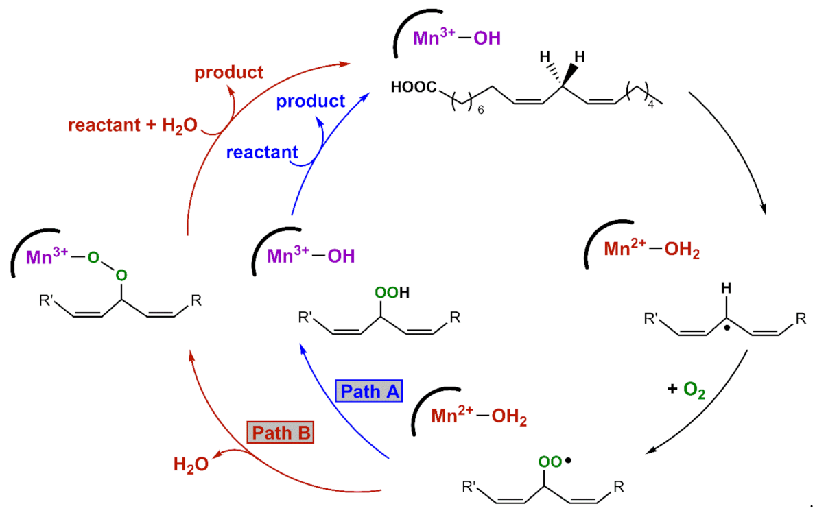Molecules 26 07151 sch001