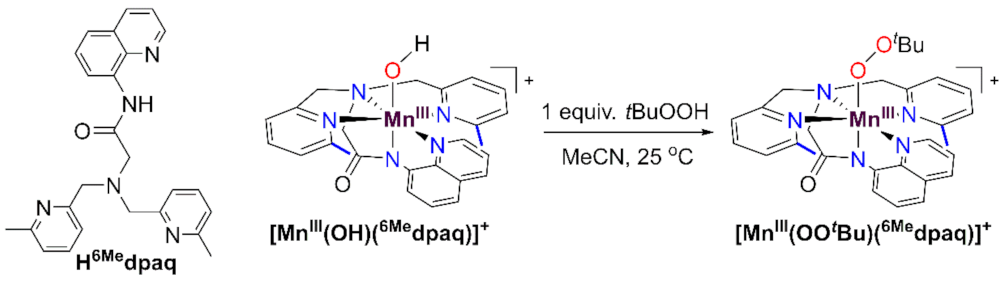 Molecules 26 07151 sch002