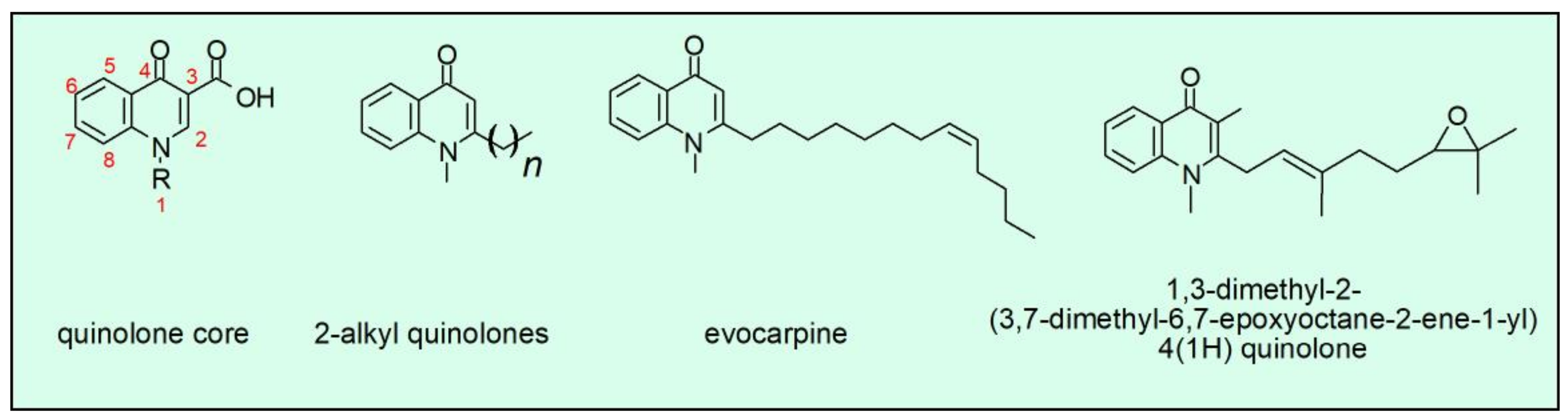 Molecules 26 07153 g002