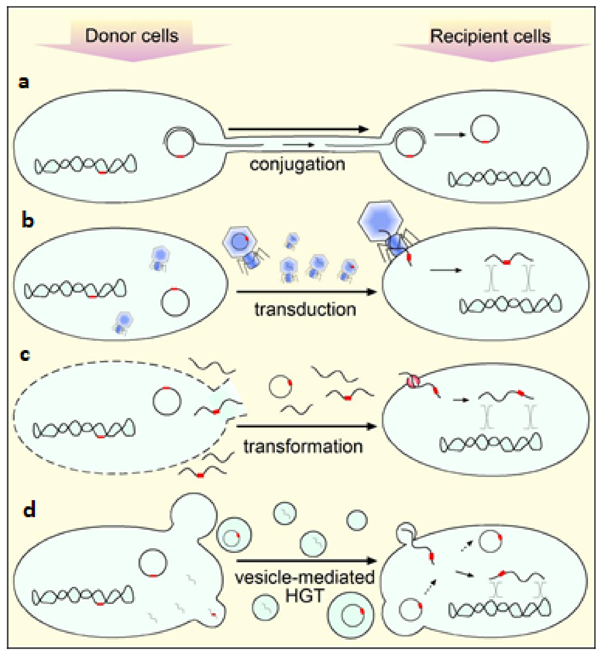 Molecules 26 07153 g006
