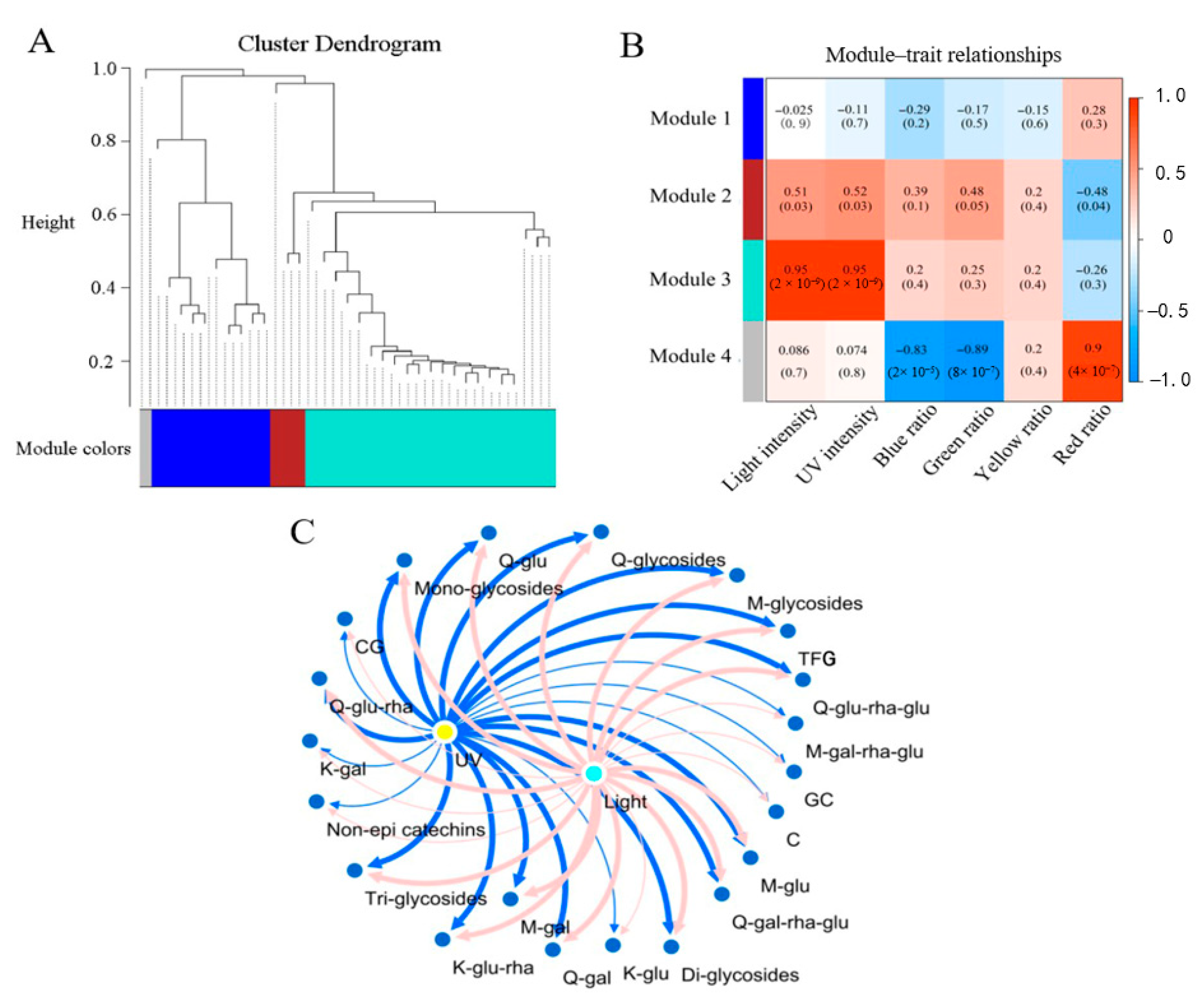 Molecules 26 07158 g007