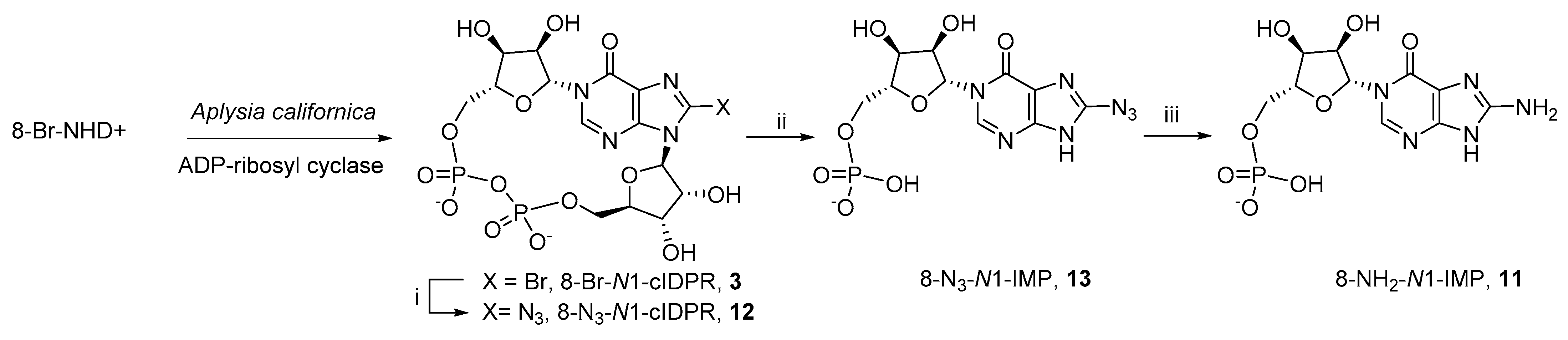 Molecules 26 07165 sch001