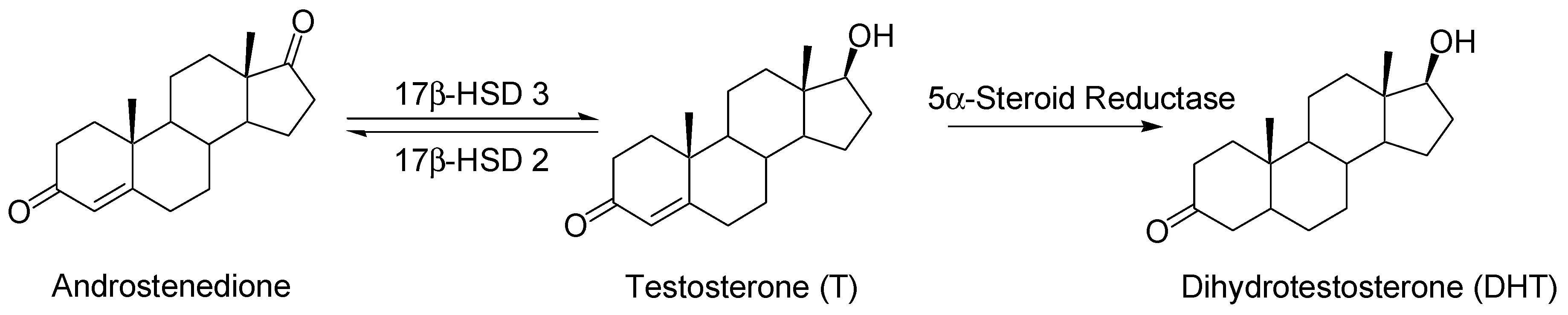 Molecules 26 07166 g001