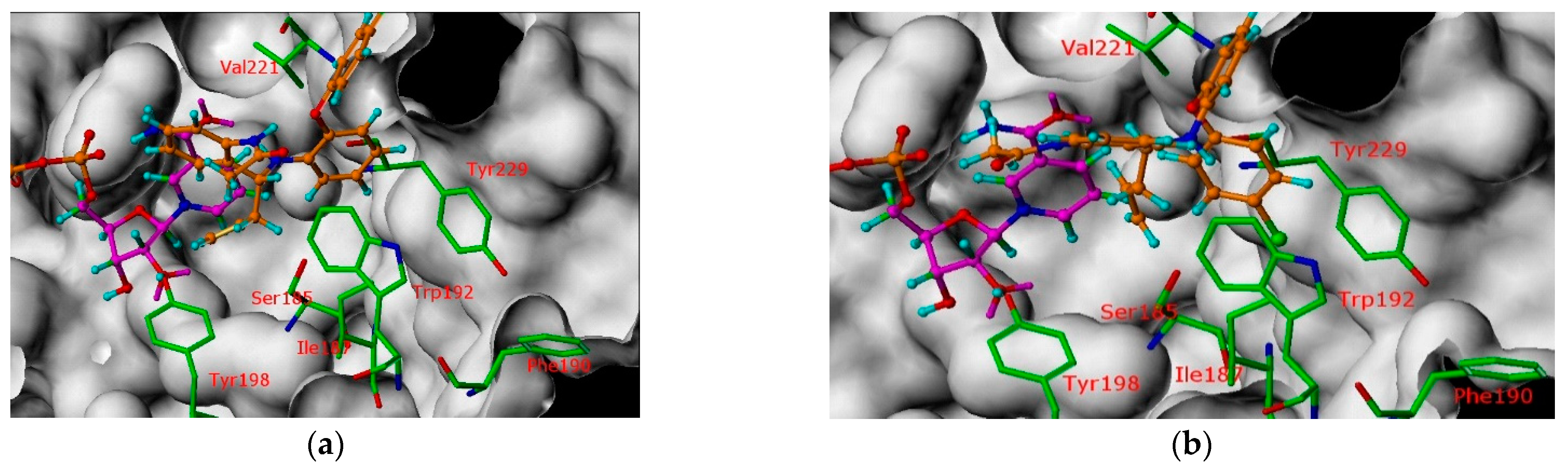 Molecules 26 07166 g012