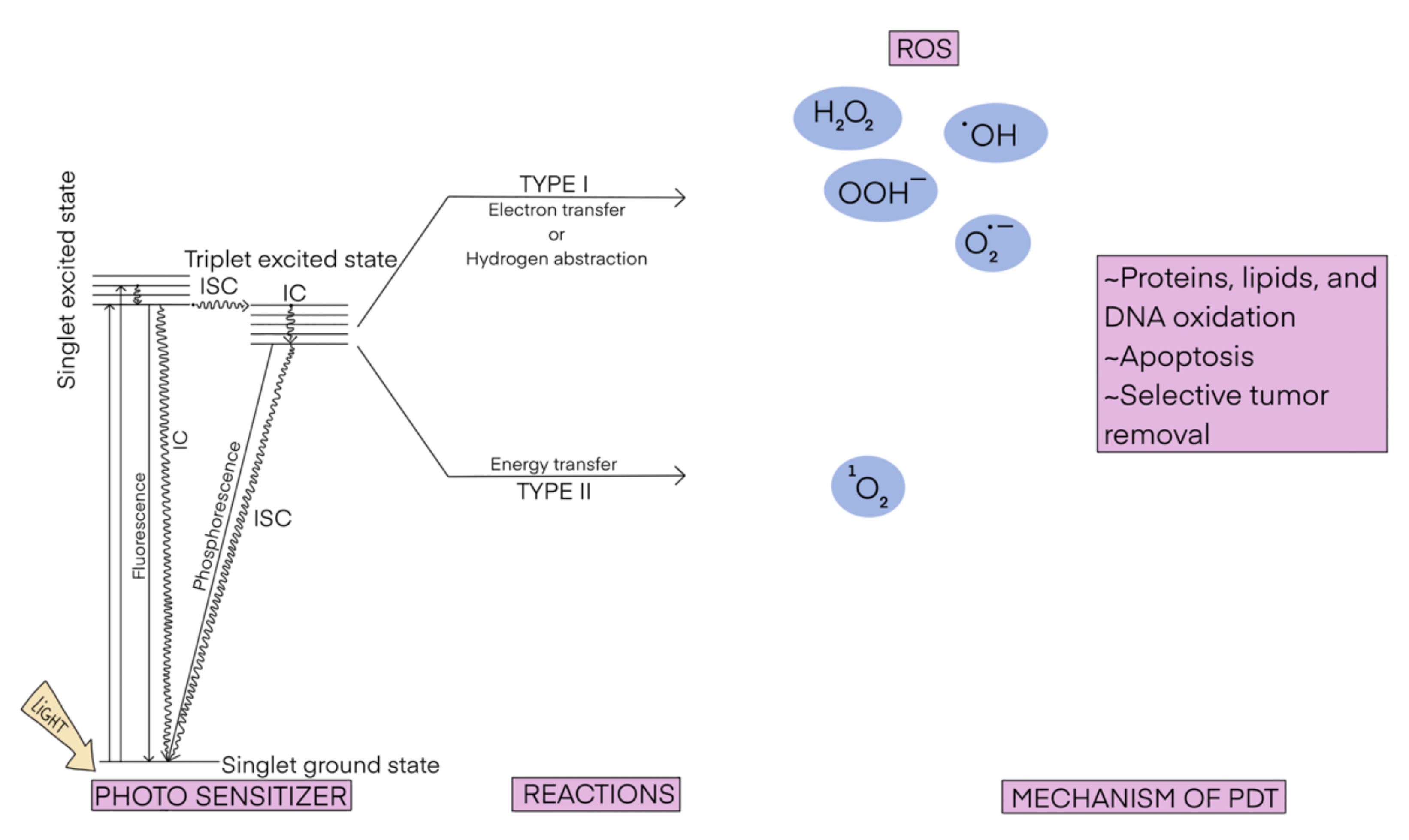 Molecules 26 07176 sch001