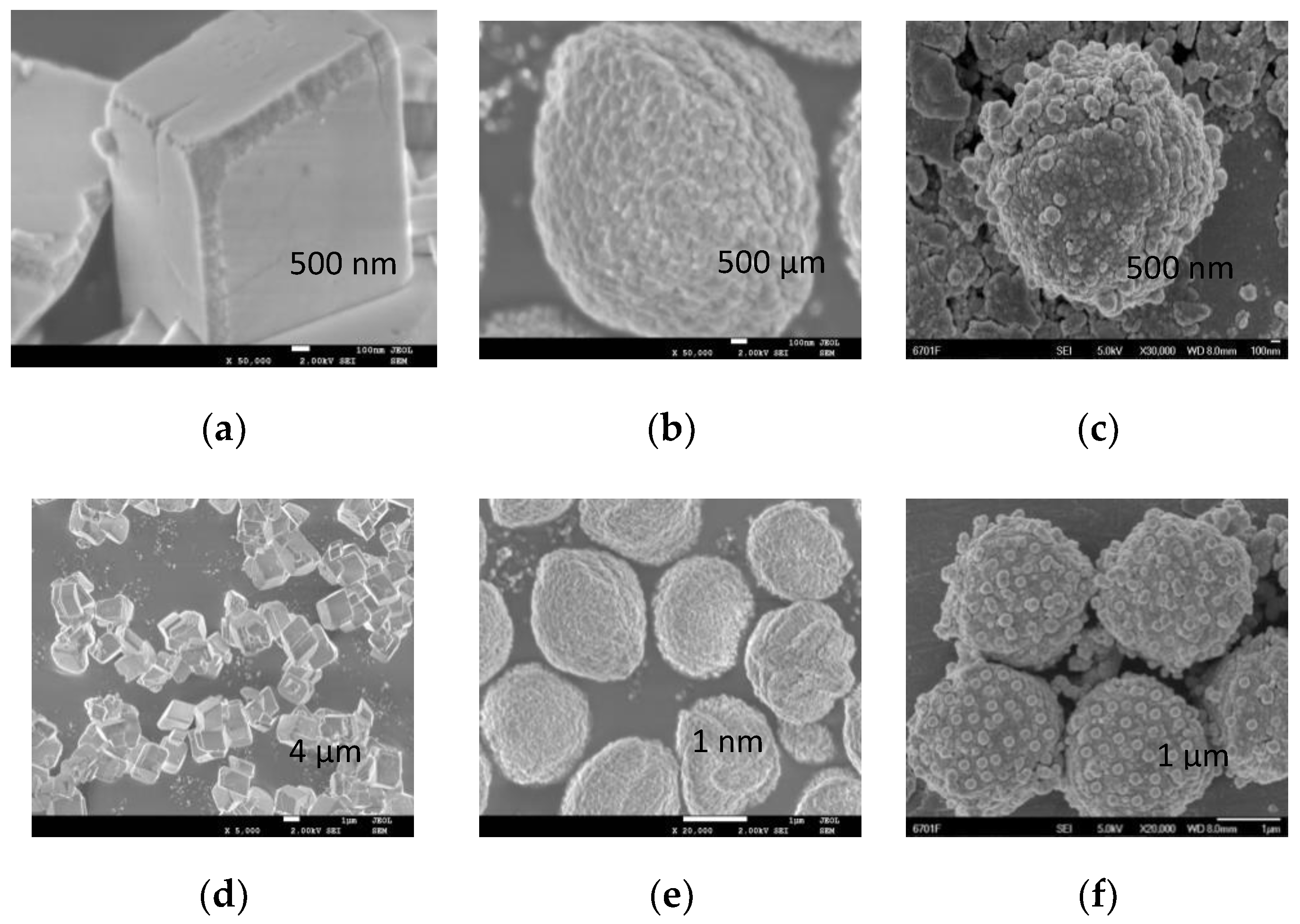 Molecules 26 07180 g003