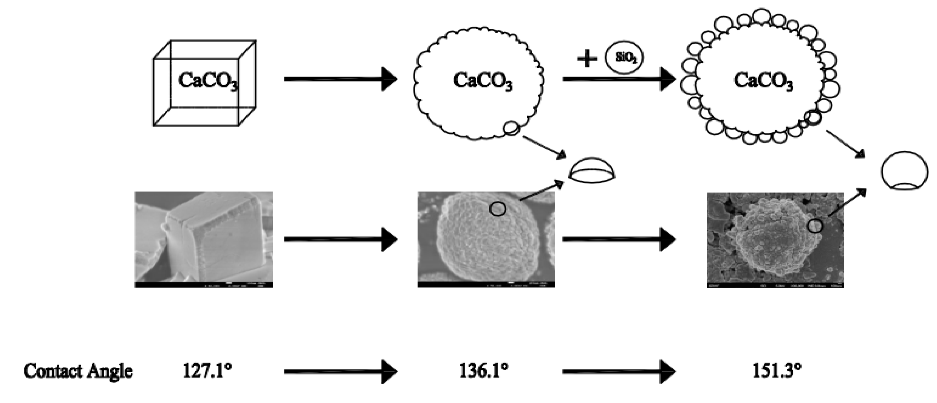 Molecules 26 07180 g010
