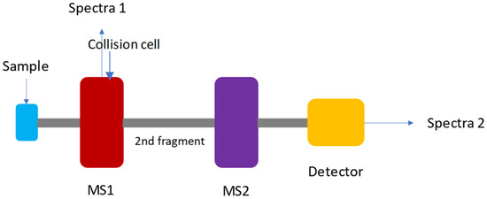 Molecules 26 07185 g001