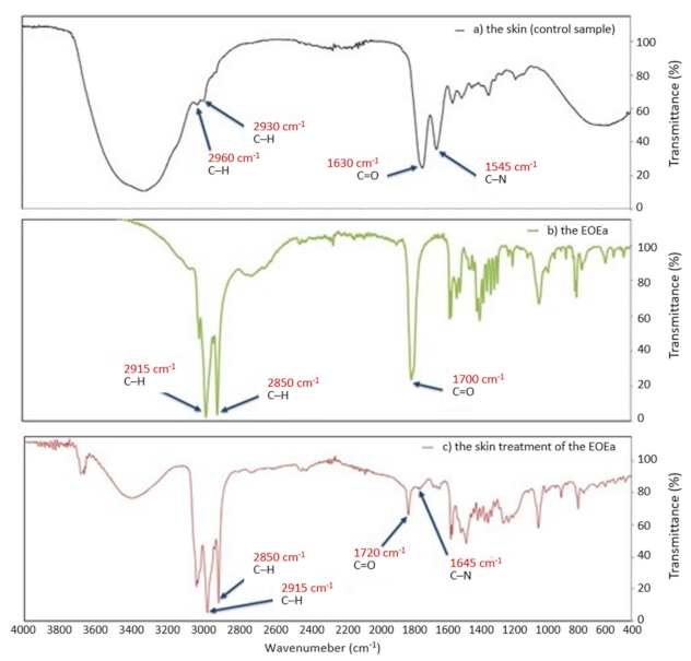 Molecules 26 07188 g006