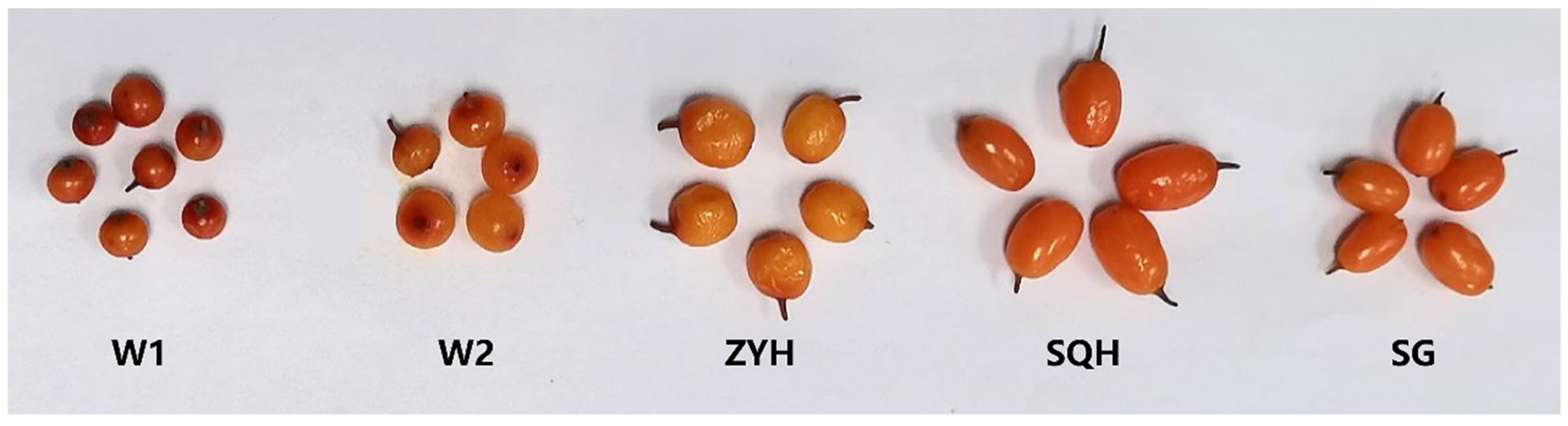 Molecules 26 07189 g001