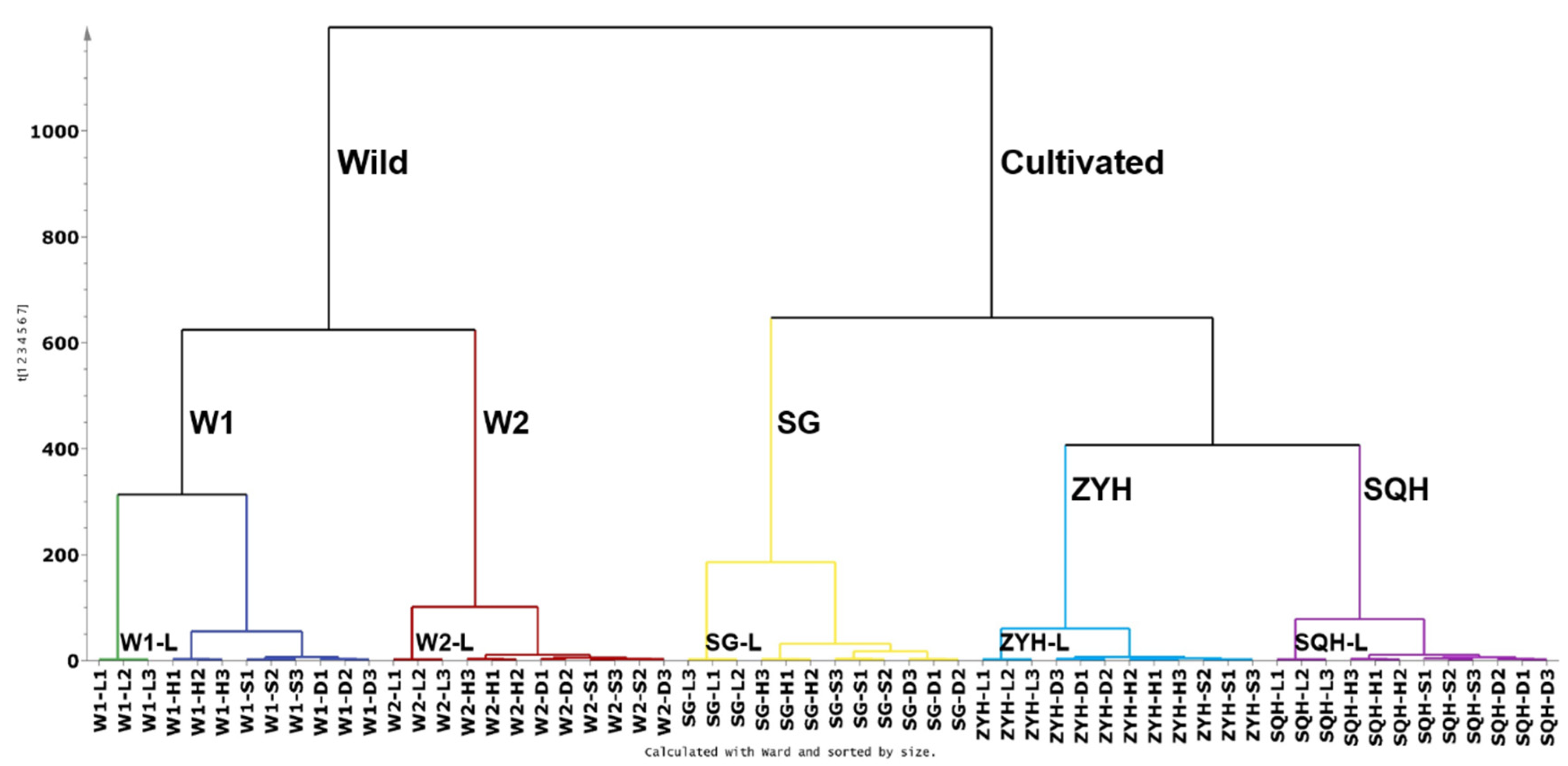 Molecules 26 07189 g003