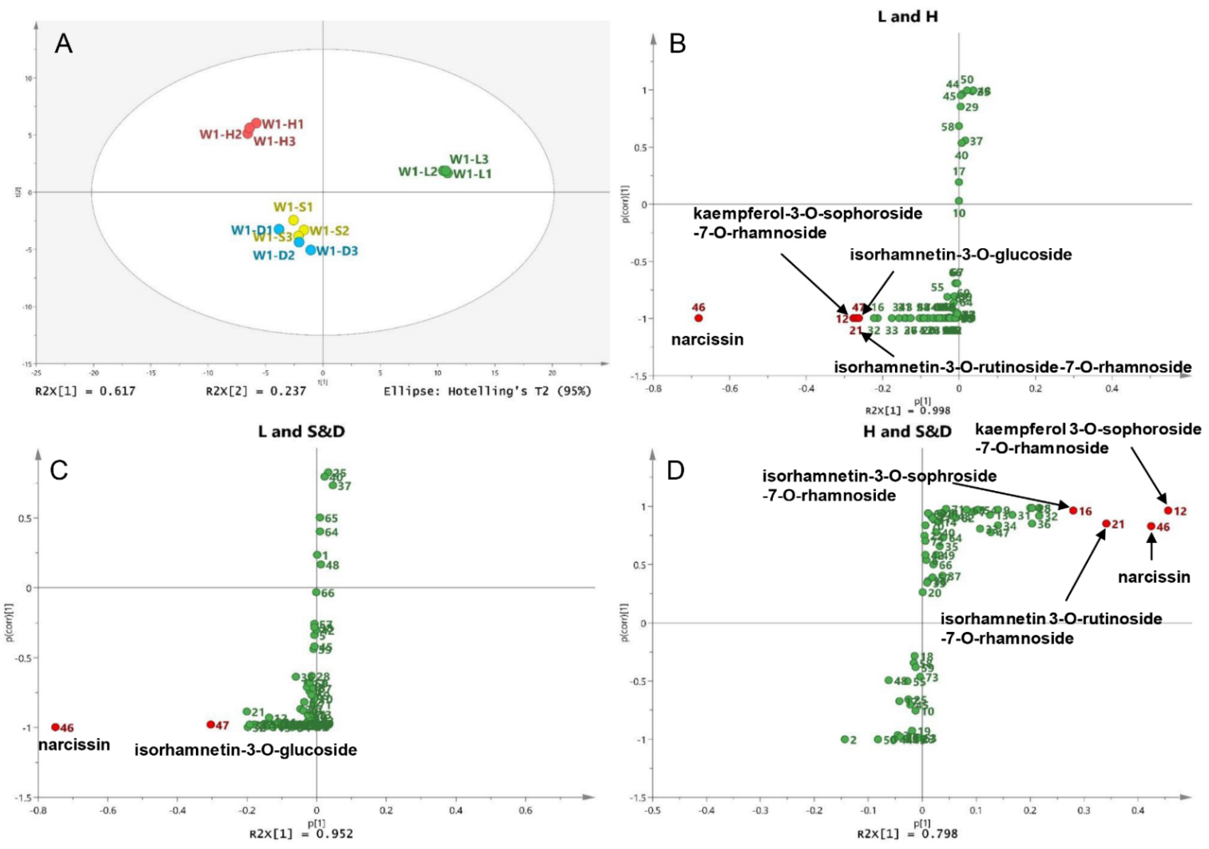 Molecules 26 07189 g004