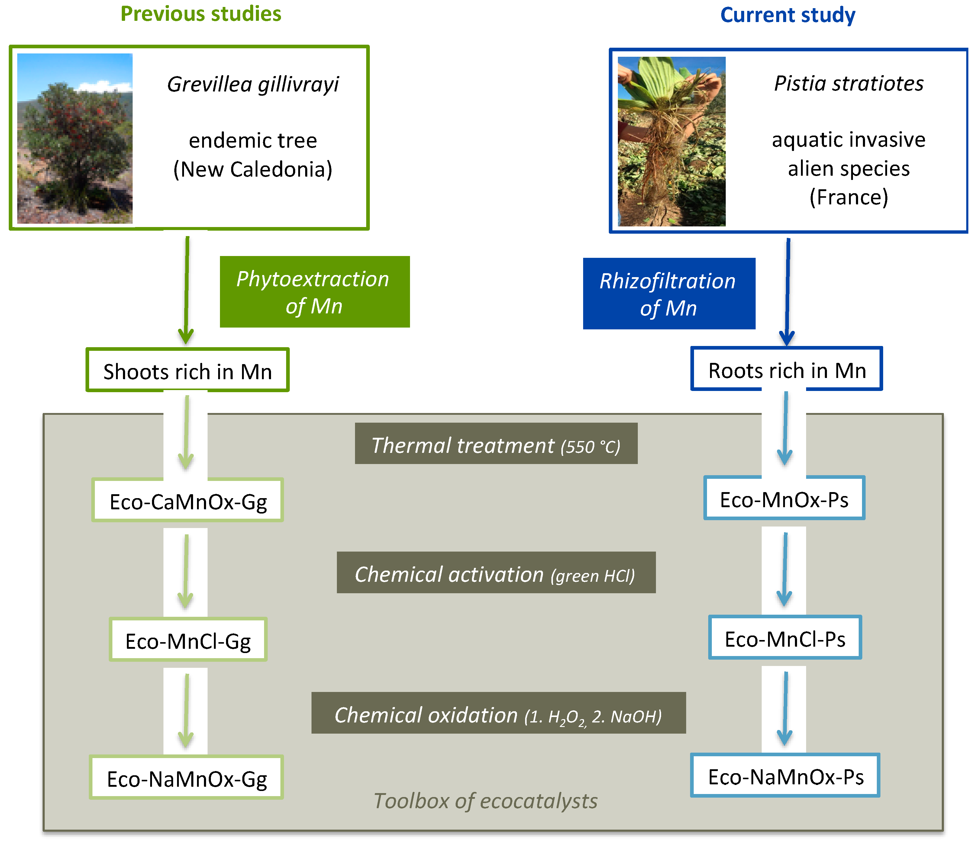 Molecules 26 07194 g001