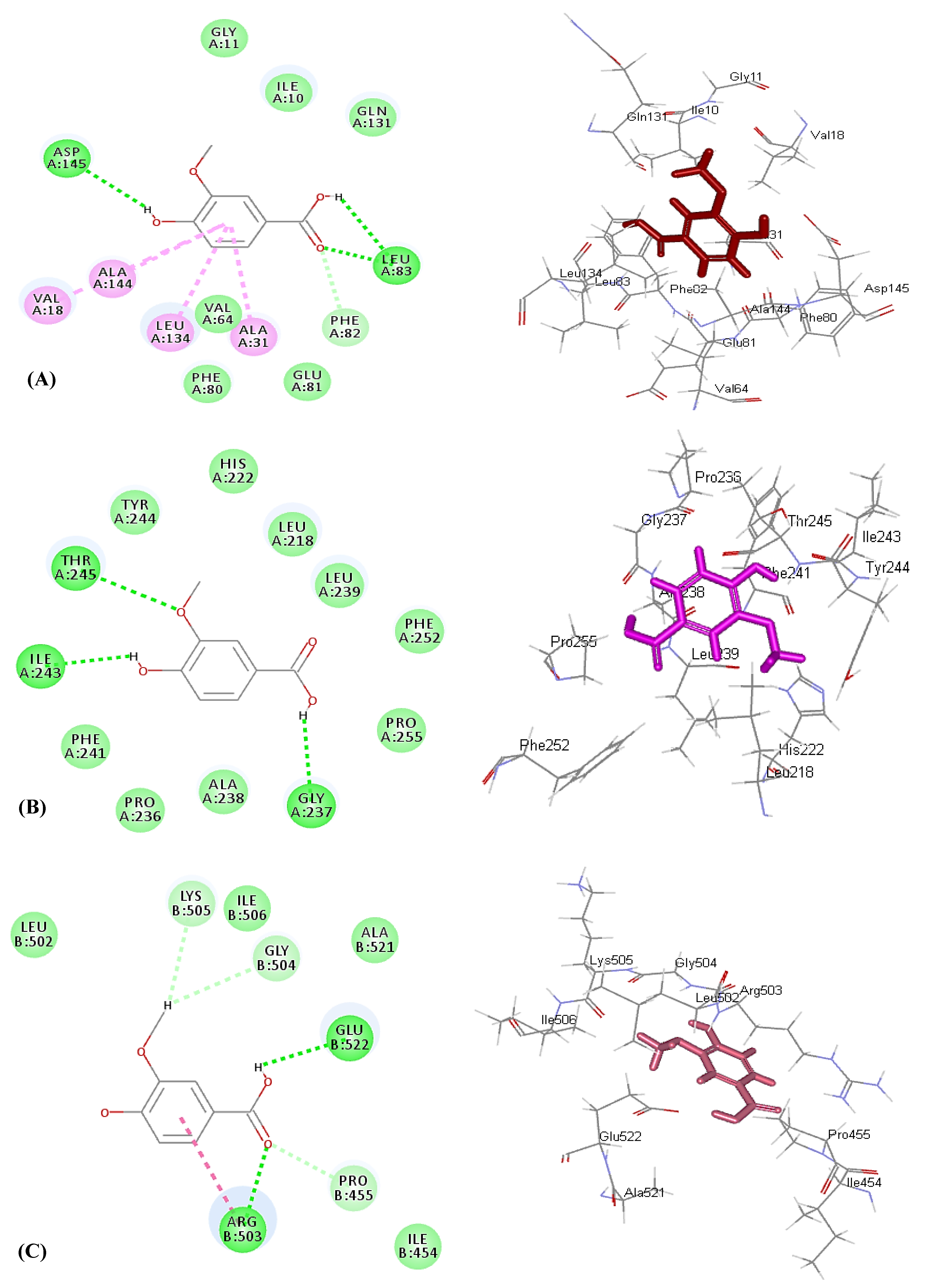 Molecules 26 07196 g004