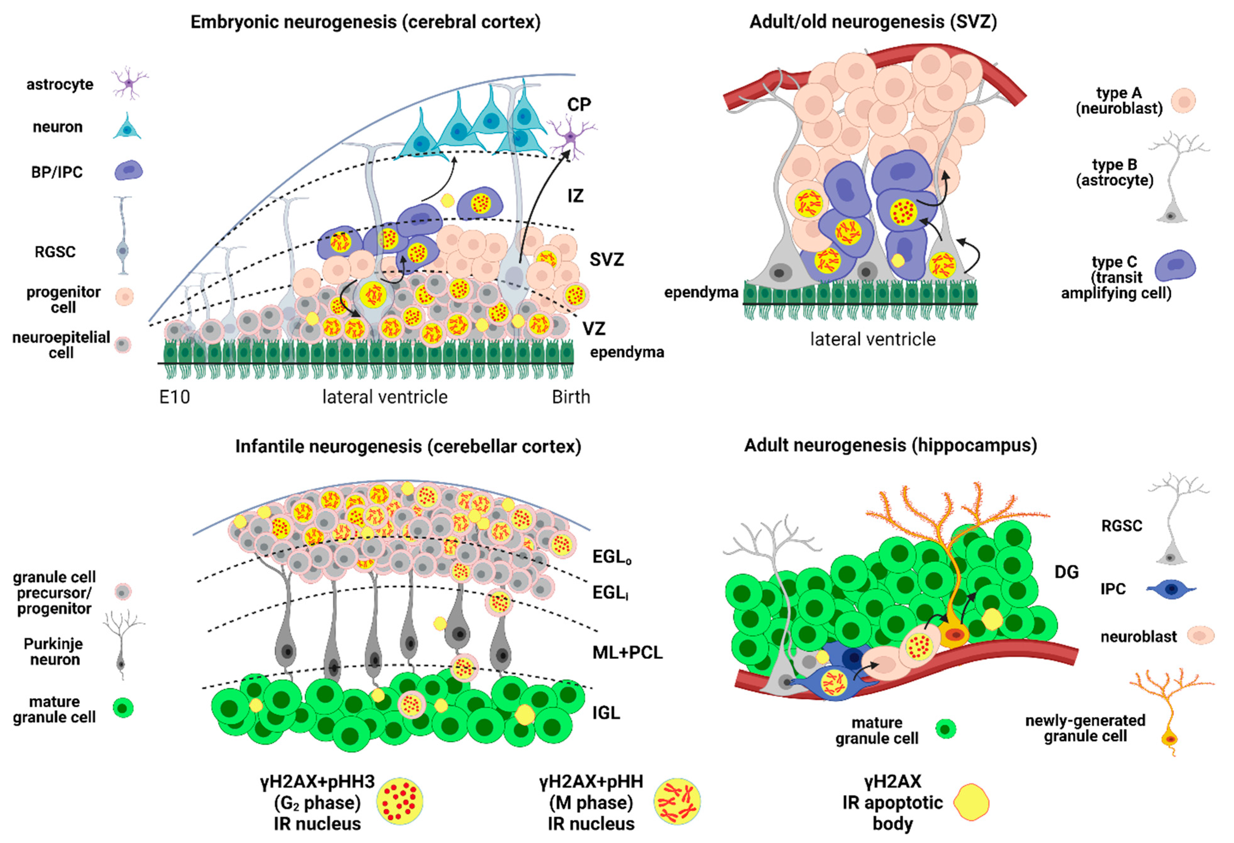 Molecules 26 07198 g003