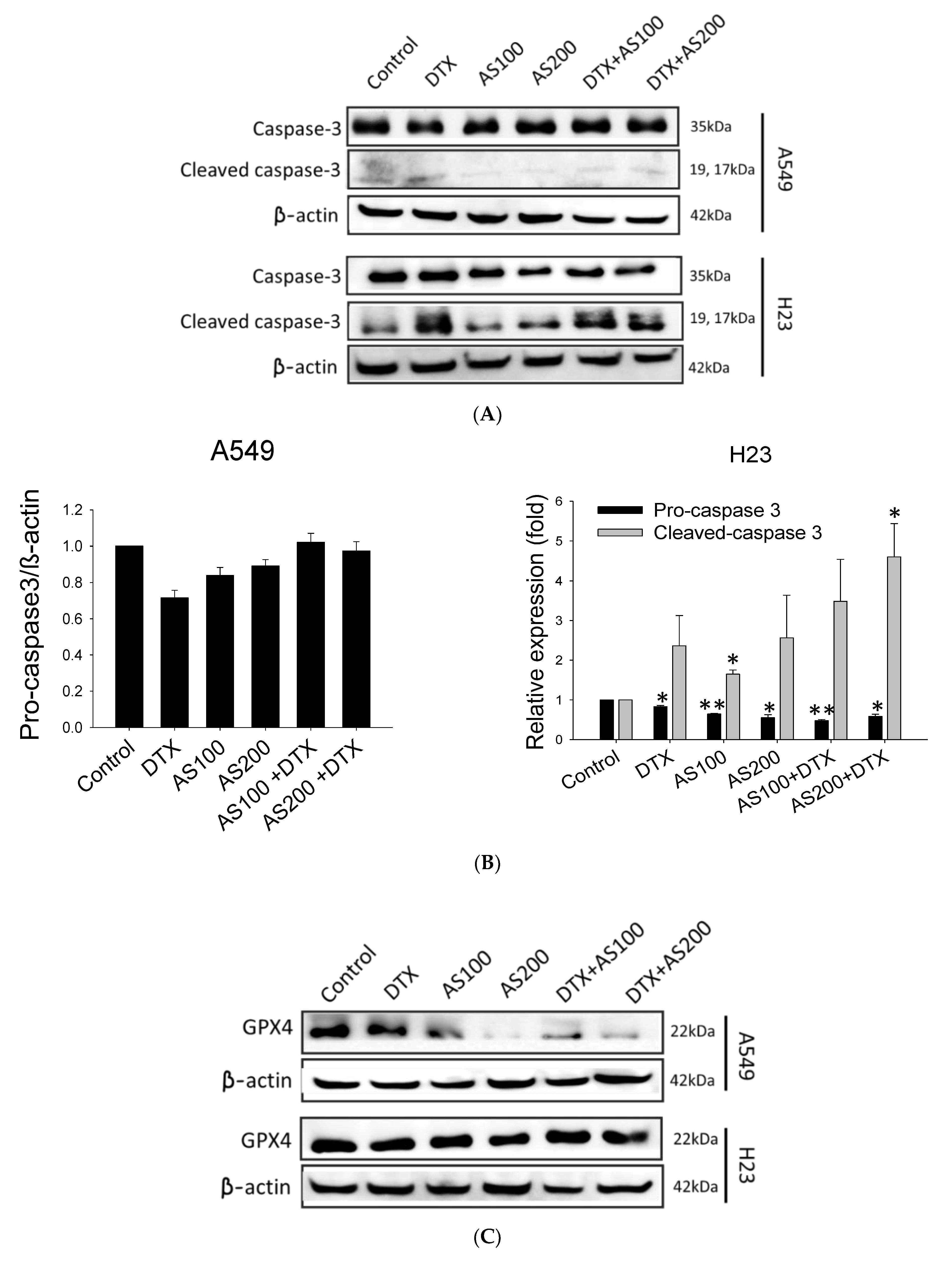 Molecules 26 07200 g003a