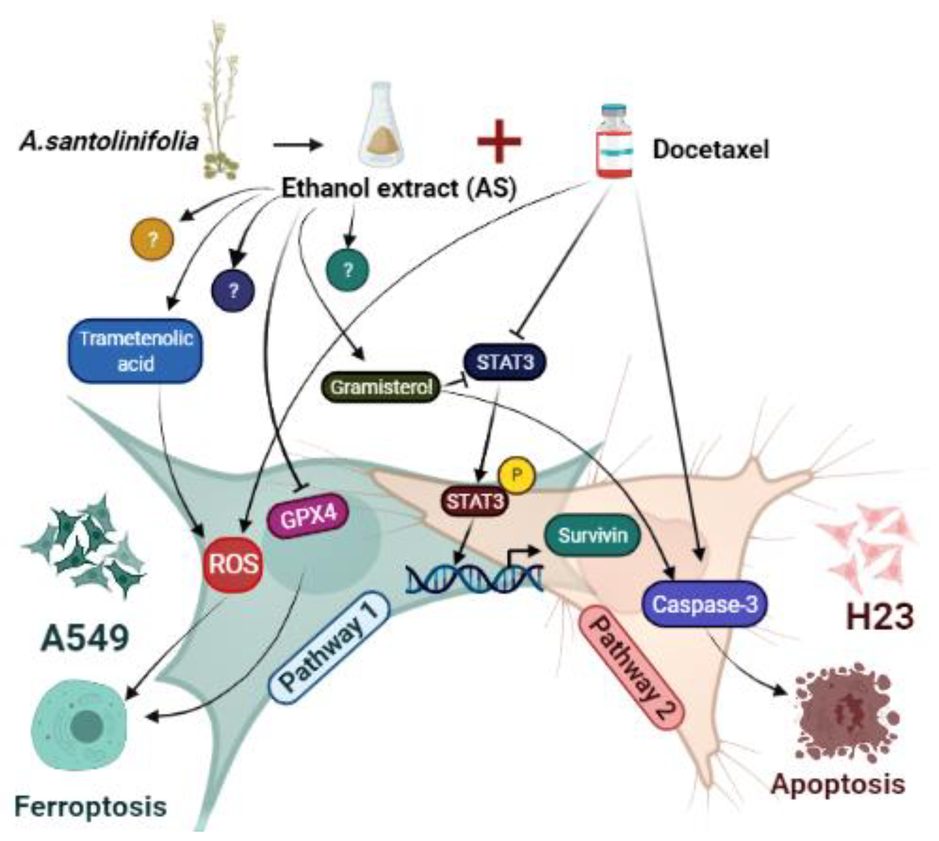 Molecules 26 07200 g005