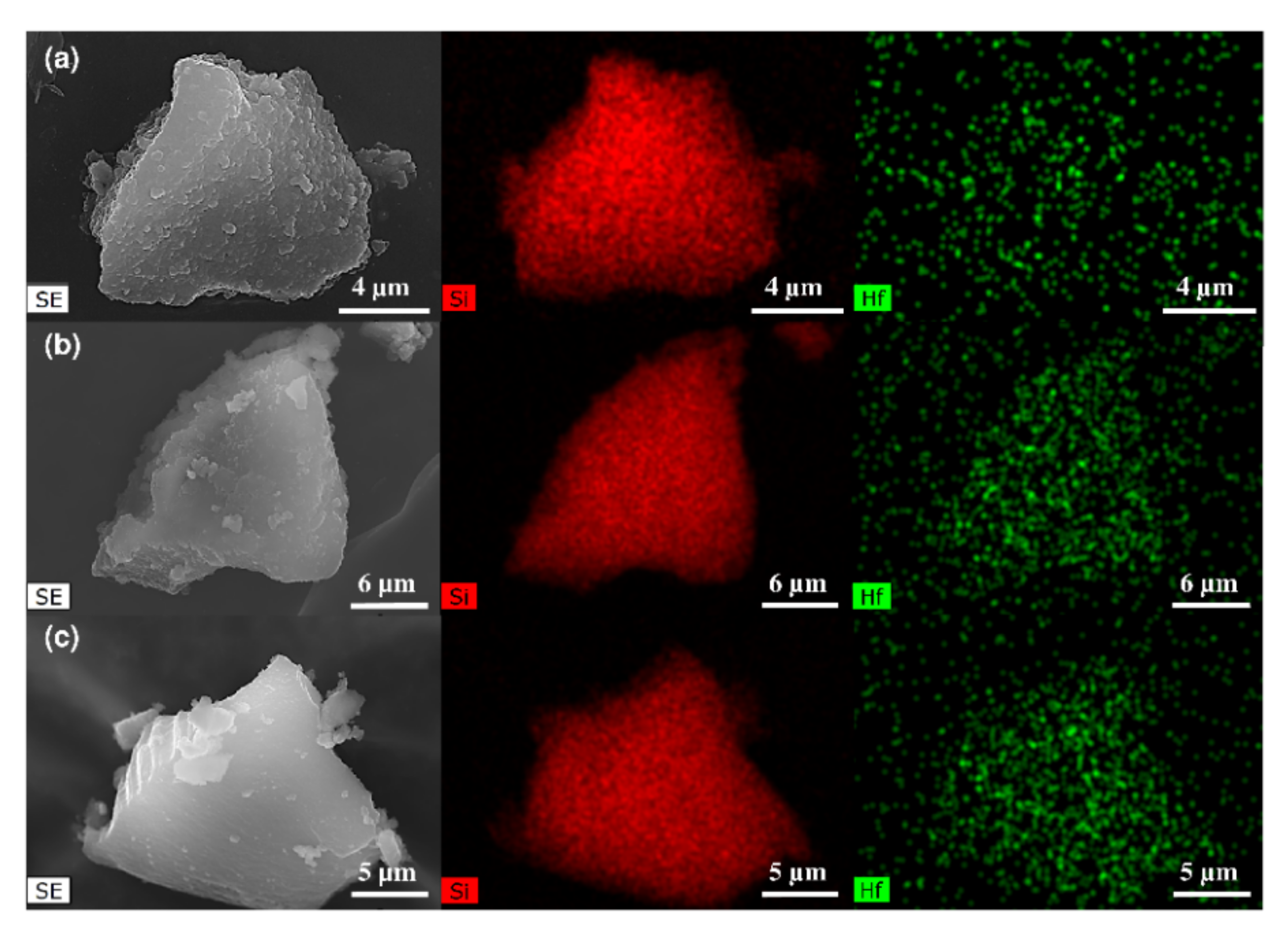 Molecules 26 07203 g001