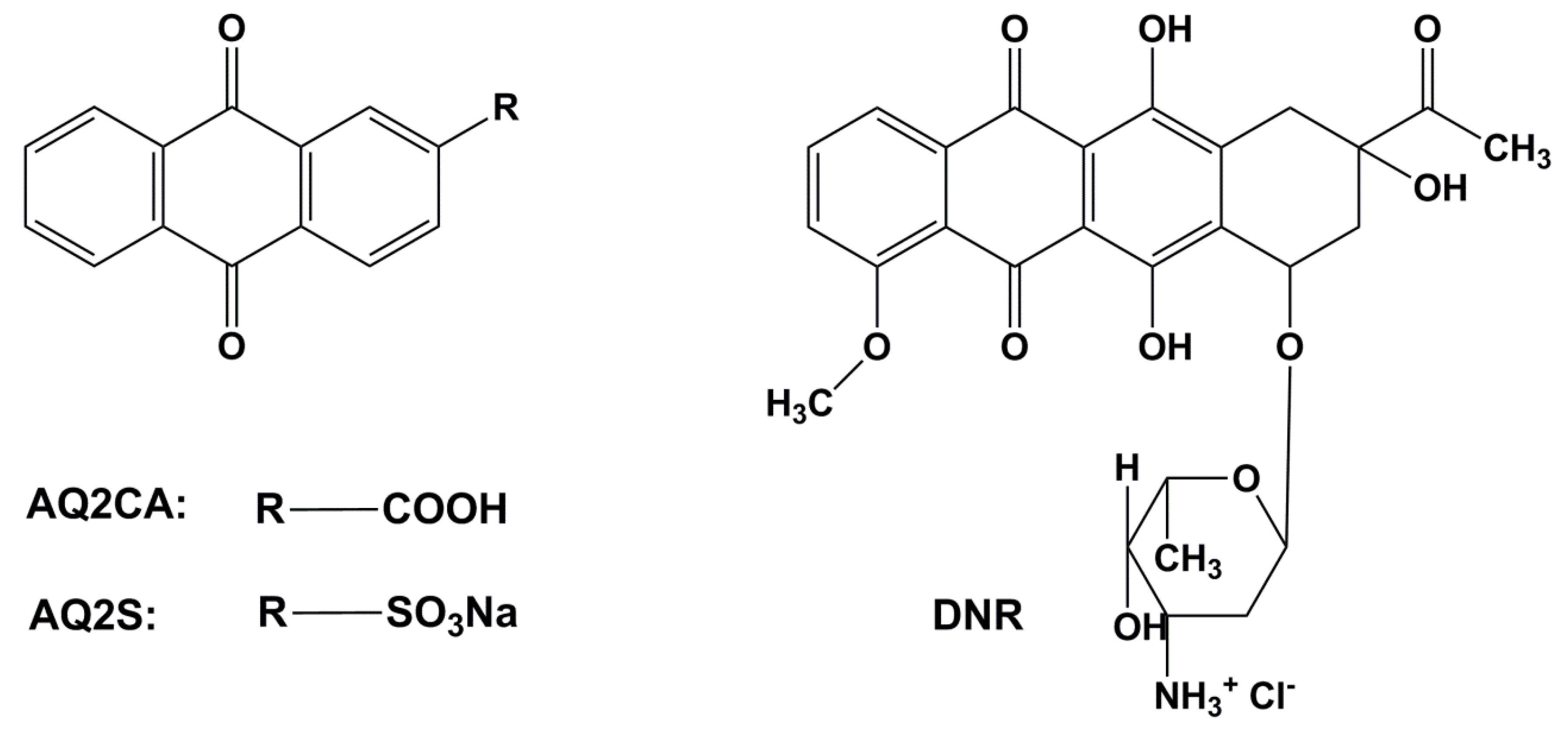 Molecules 26 07205 g001