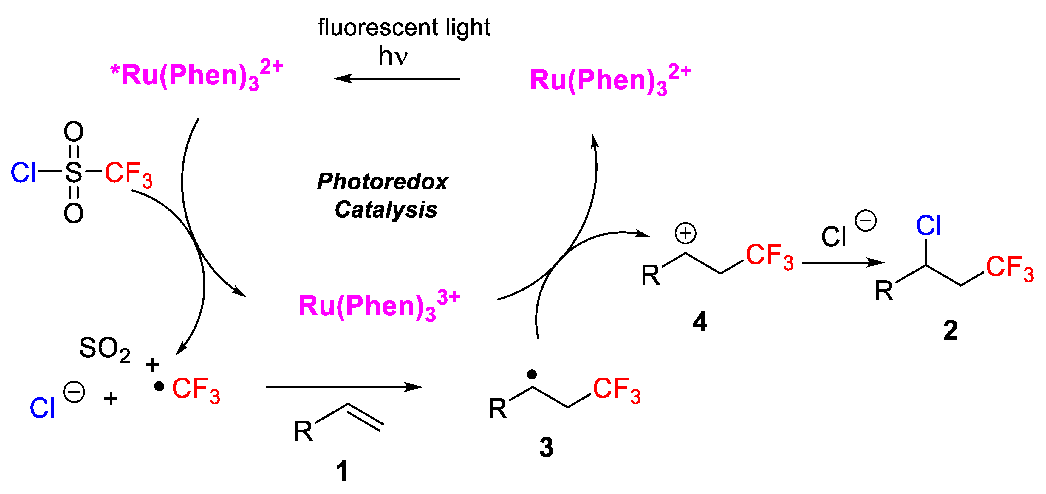 Molecules 26 07221 sch002 Molecules 26 07221 sch002