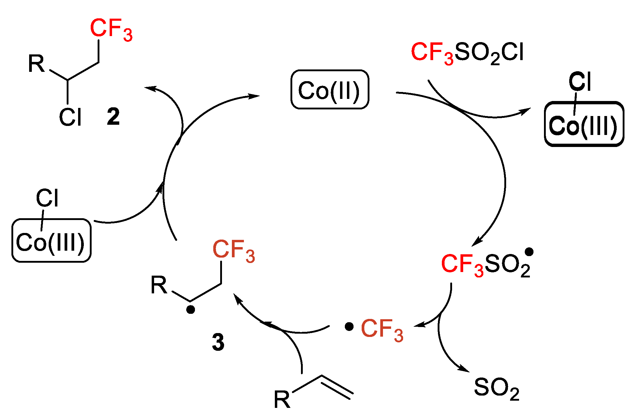 Molecules 26 07221 sch005 Molecules 26 07221 sch005