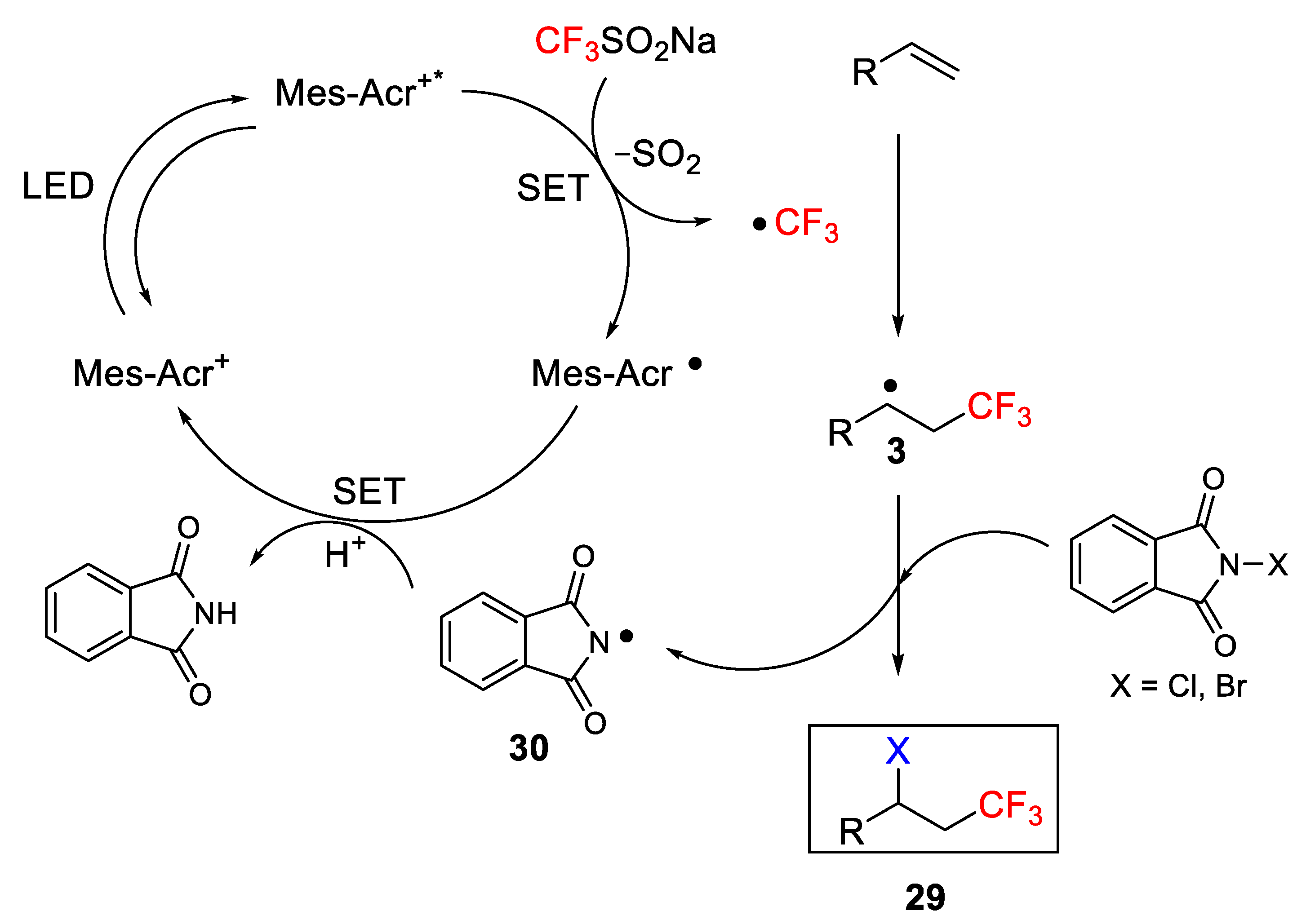 Molecules 26 07221 sch022 Molecules 26 07221 sch022