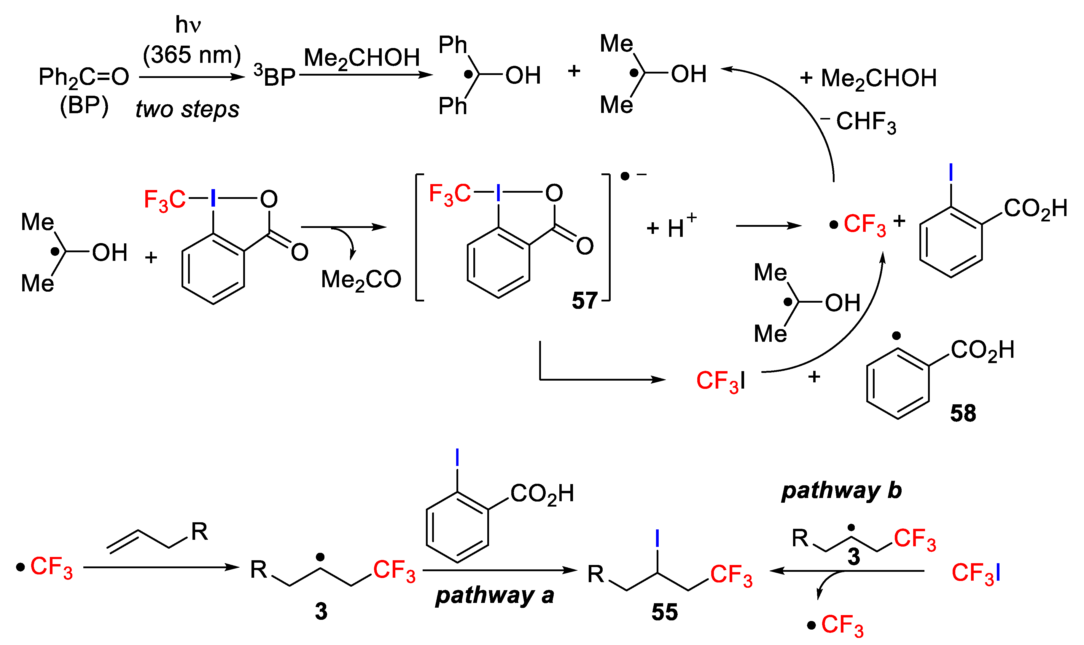 Molecules 26 07221 sch047 Molecules 26 07221 sch047