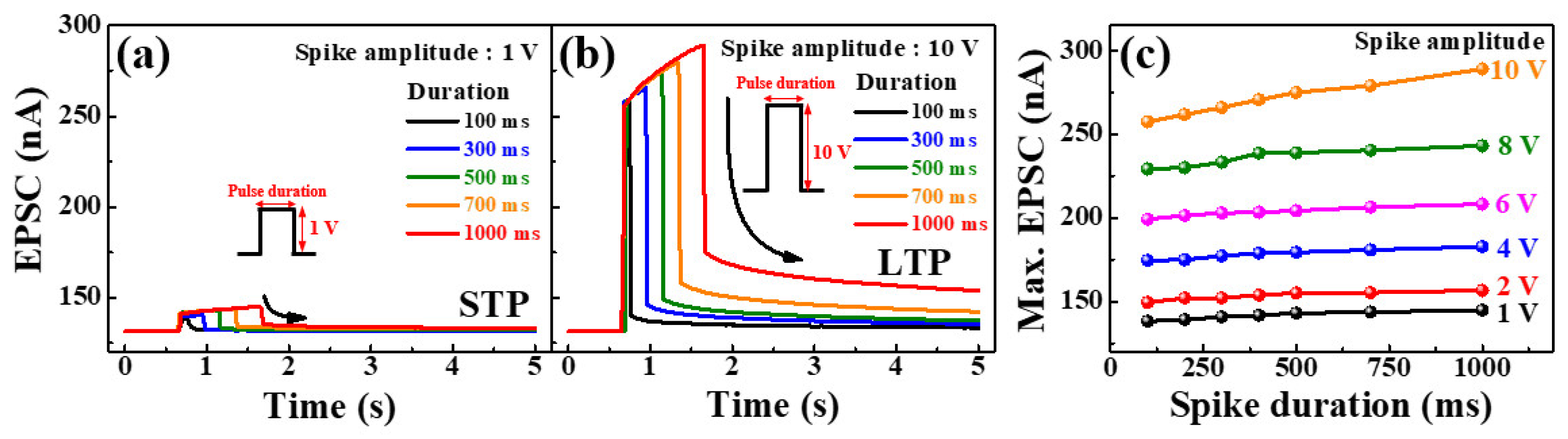 Molecules 26 07233 g005