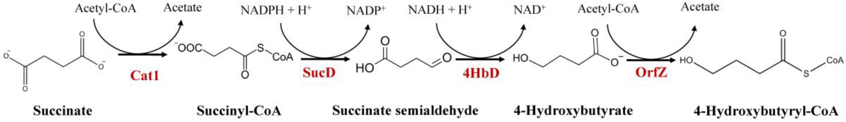 Molecules 26 07244 g001 Molecules 26 07244 g001