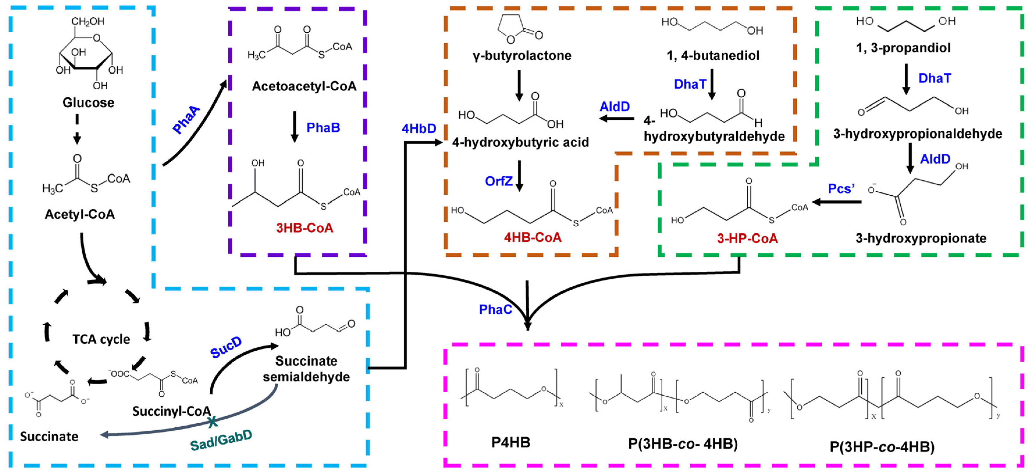 Molecules 26 07244 g002 Molecules 26 07244 g002