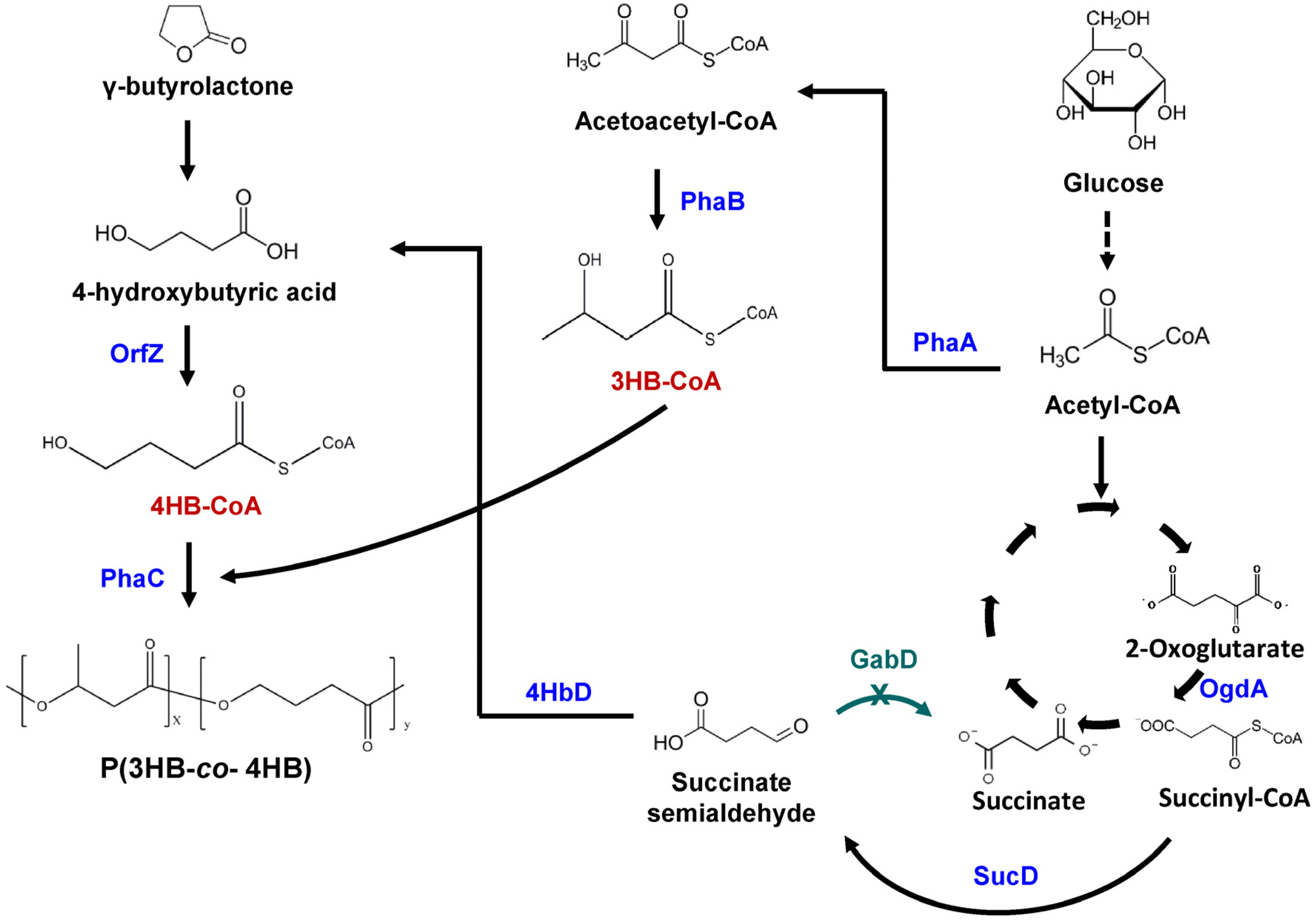 Molecules 26 07244 g003 Molecules 26 07244 g003