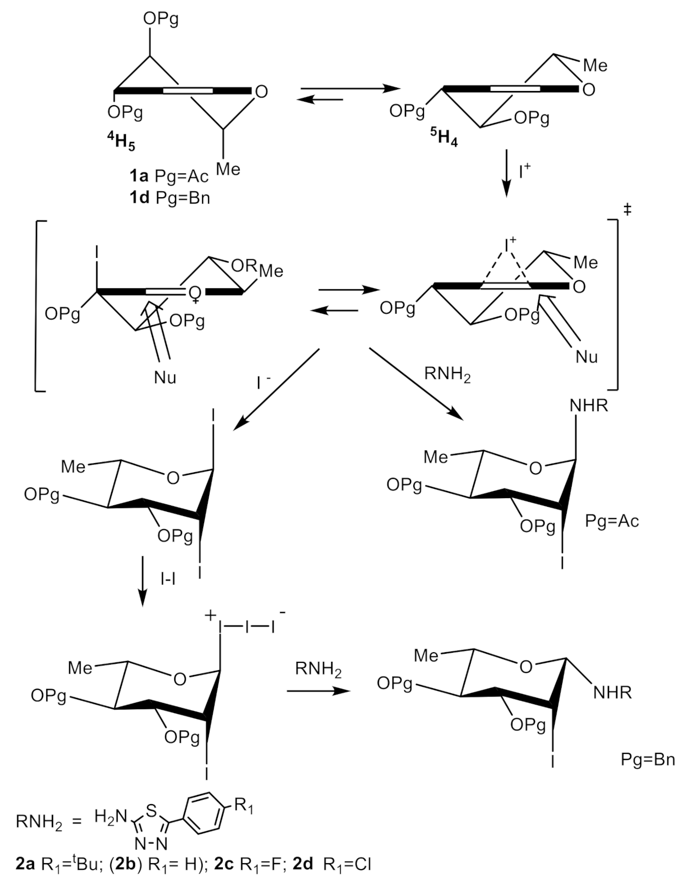 Molecules 26 07245 sch003 Molecules 26 07245 sch003