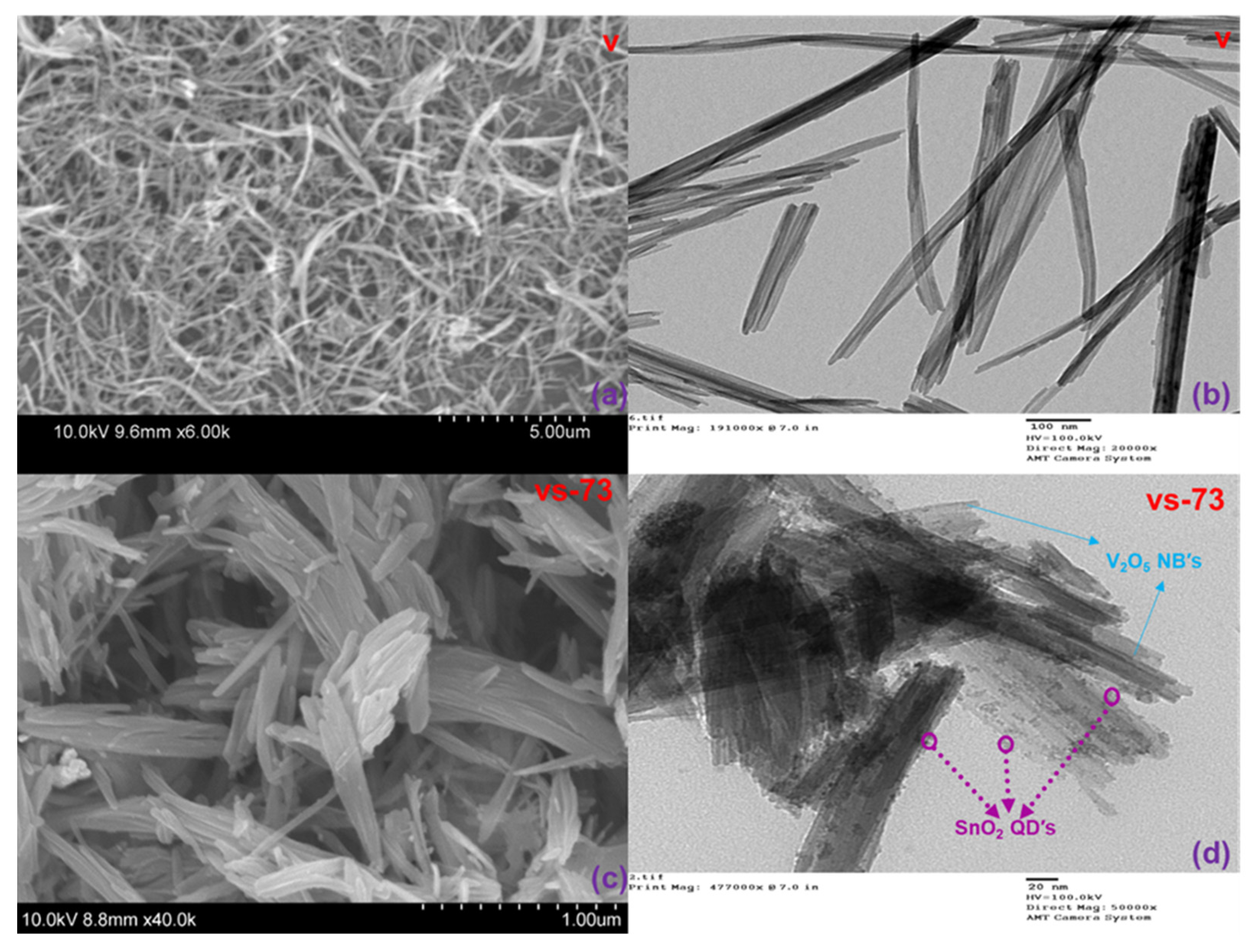 Molecules 26 07262 g002