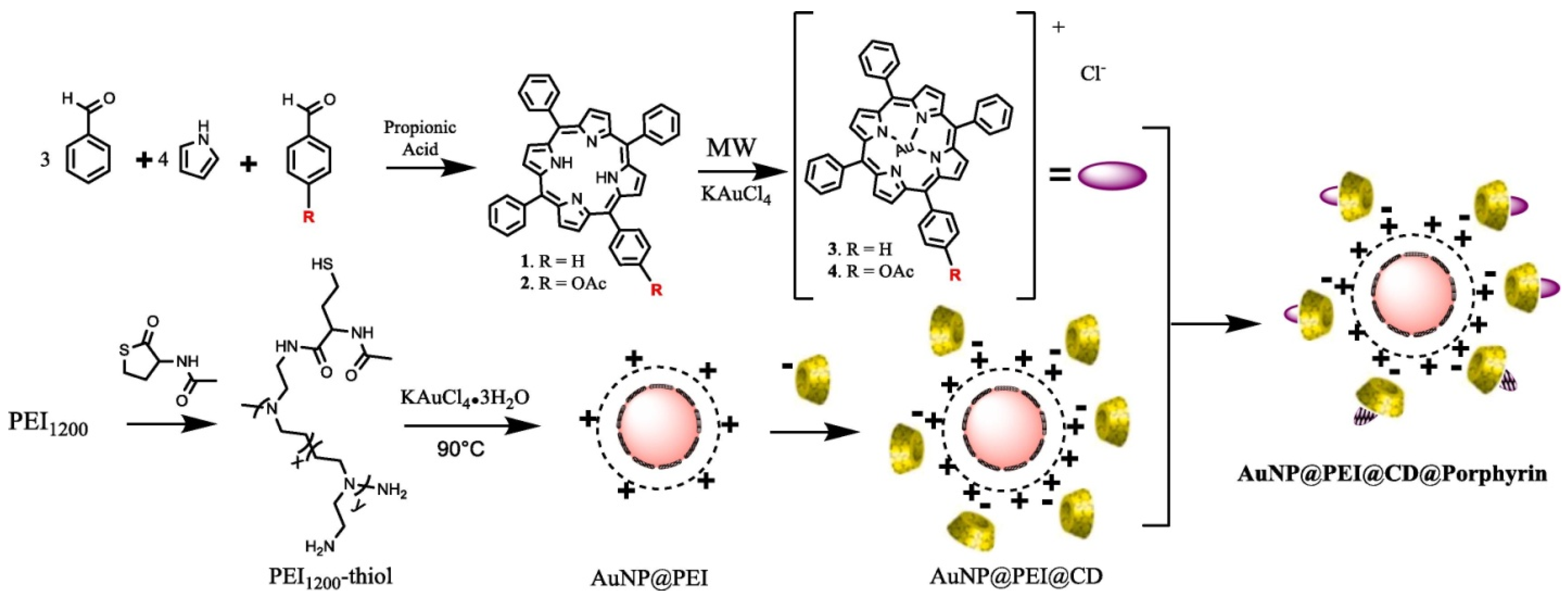 Molecules 26 07268 g021