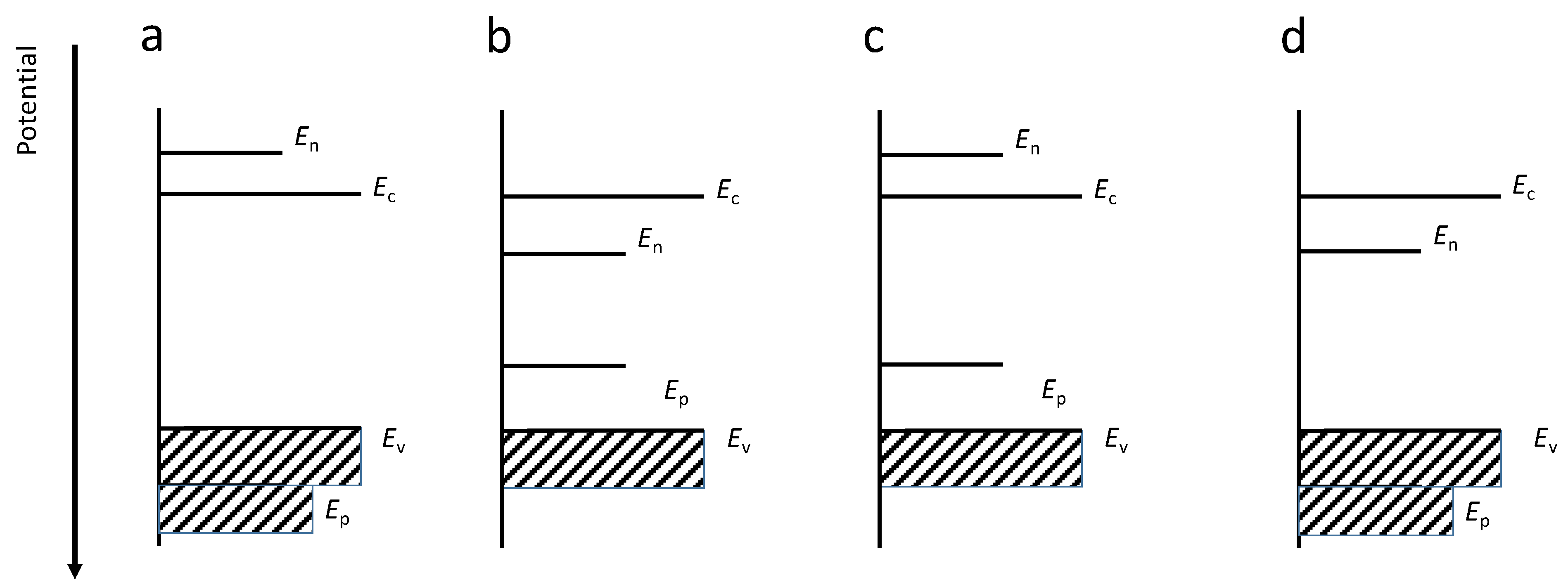 Molecules 26 07271 g008