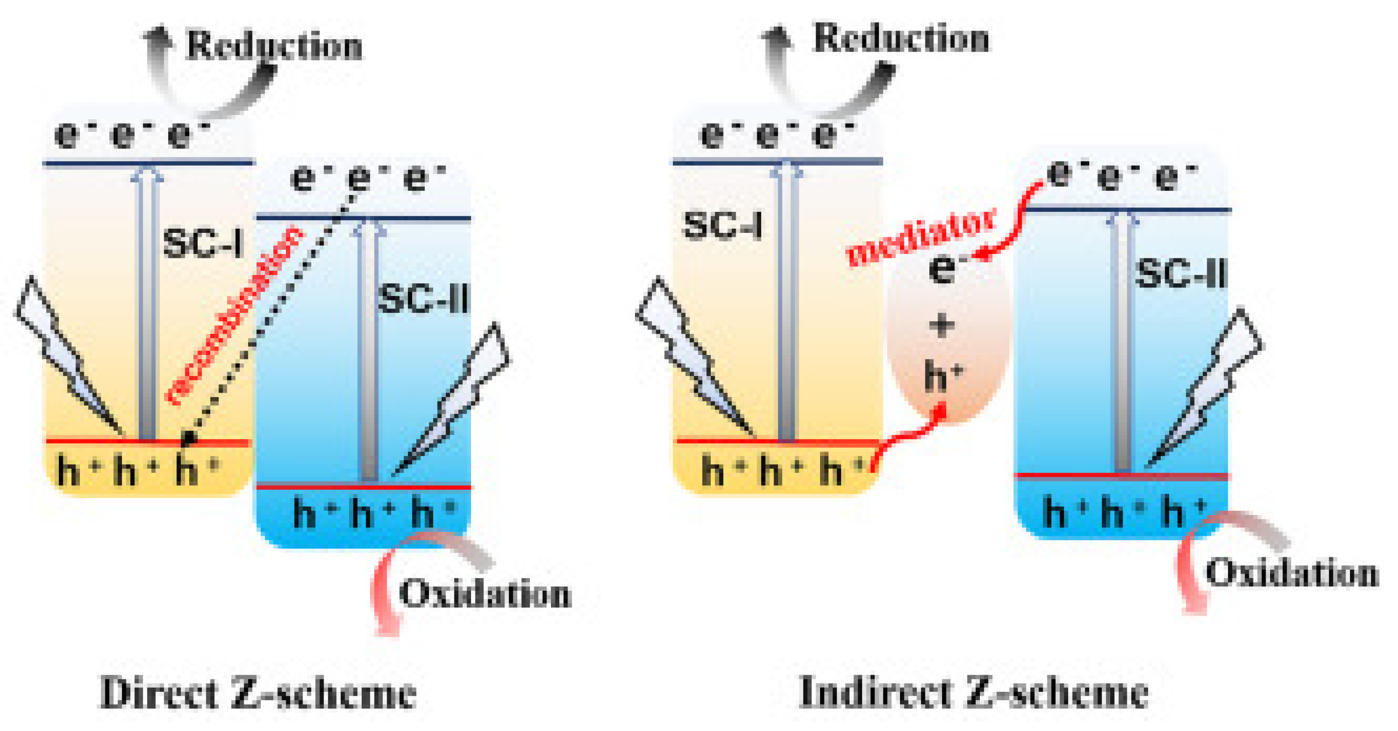 Molecules 26 07271 g015