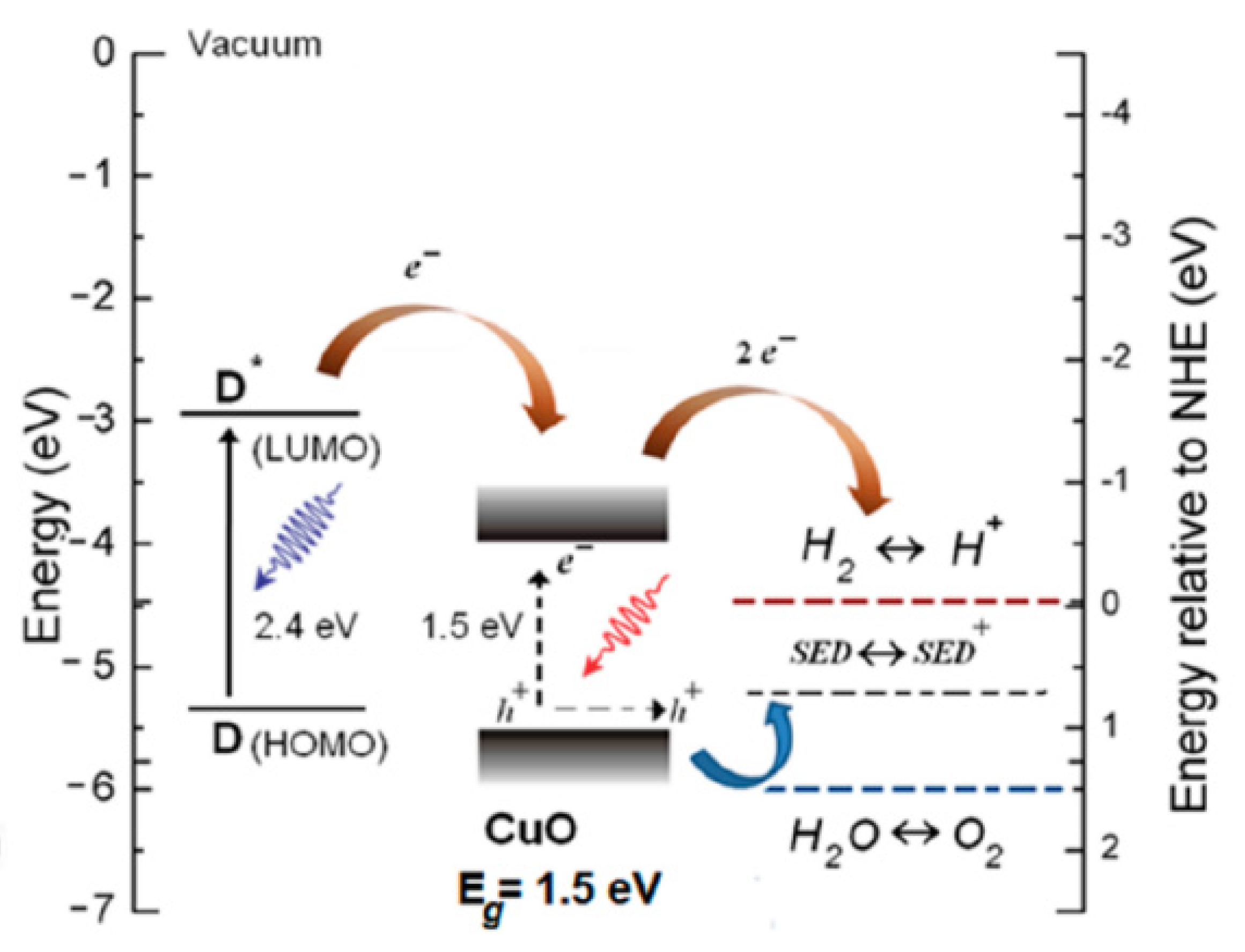 Molecules 26 07271 g017
