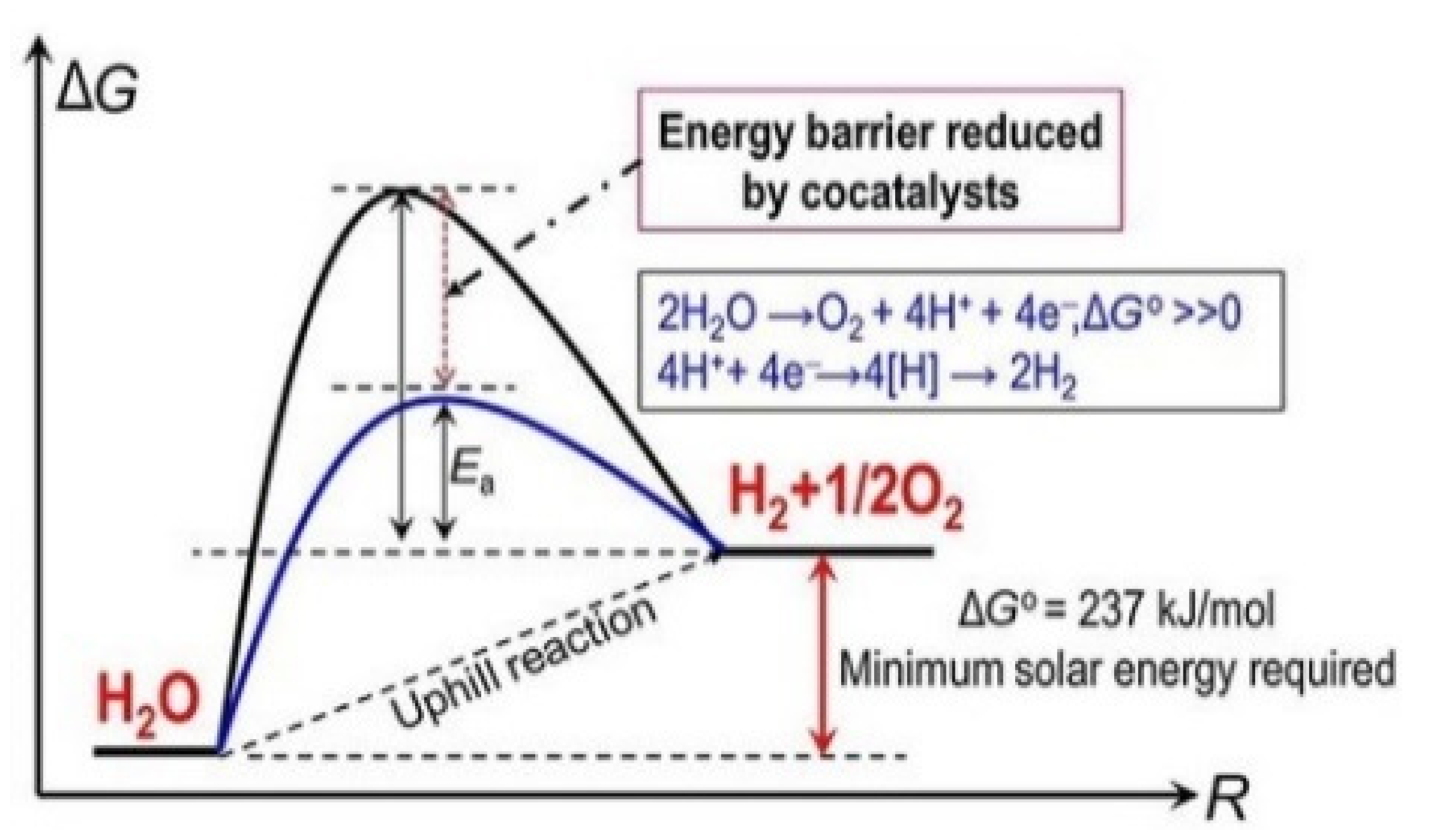 Molecules 26 07271 g019