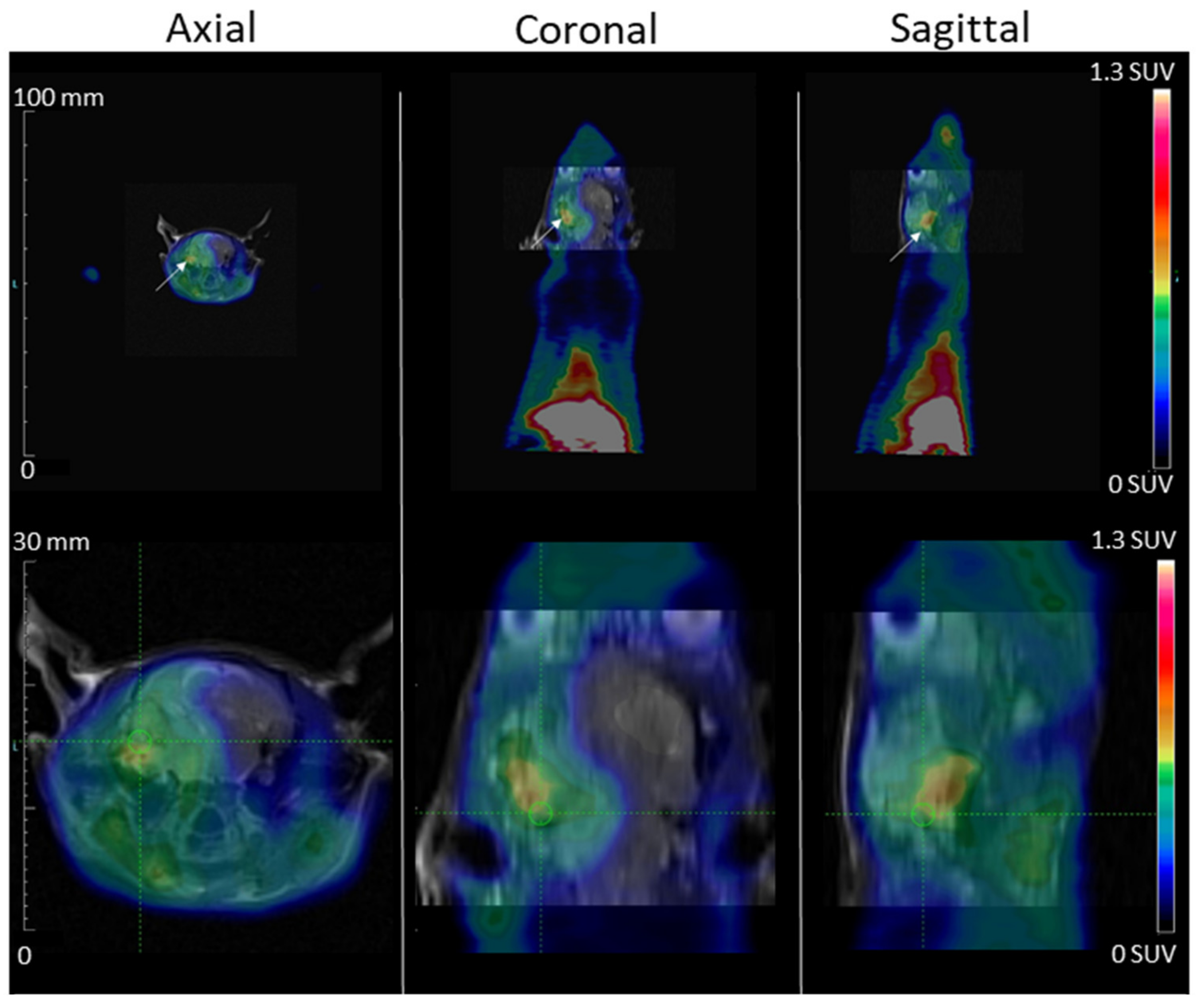 Molecules 26 07273 g008