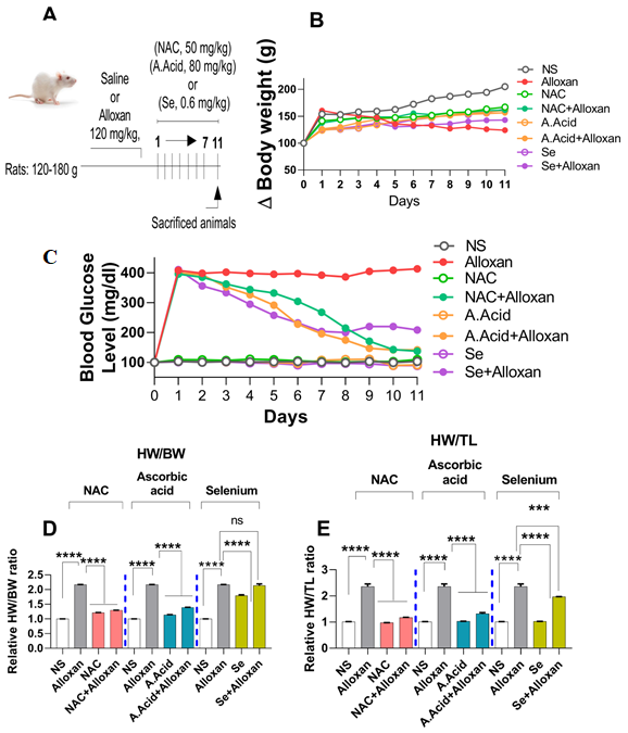 Molecules 26 07285 g001