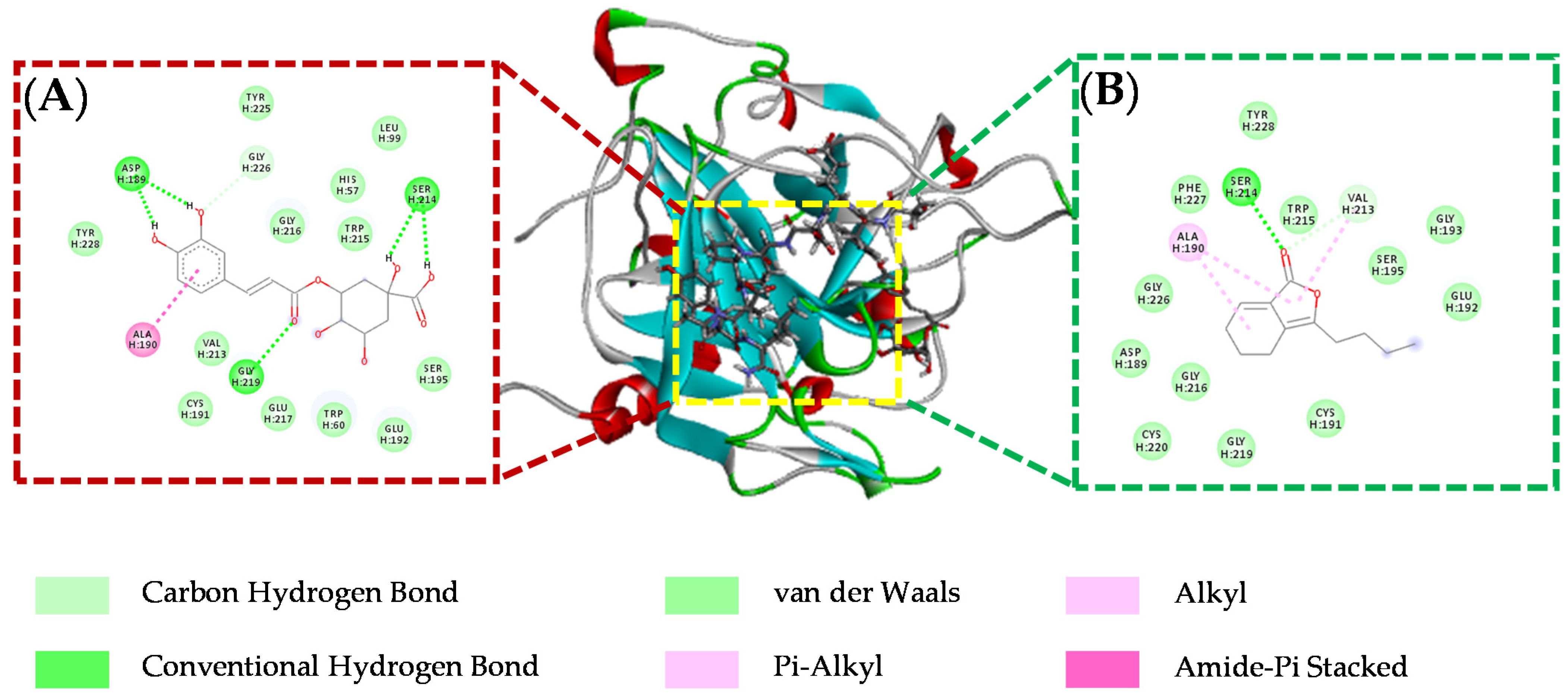 Molecules 26 07293 g007