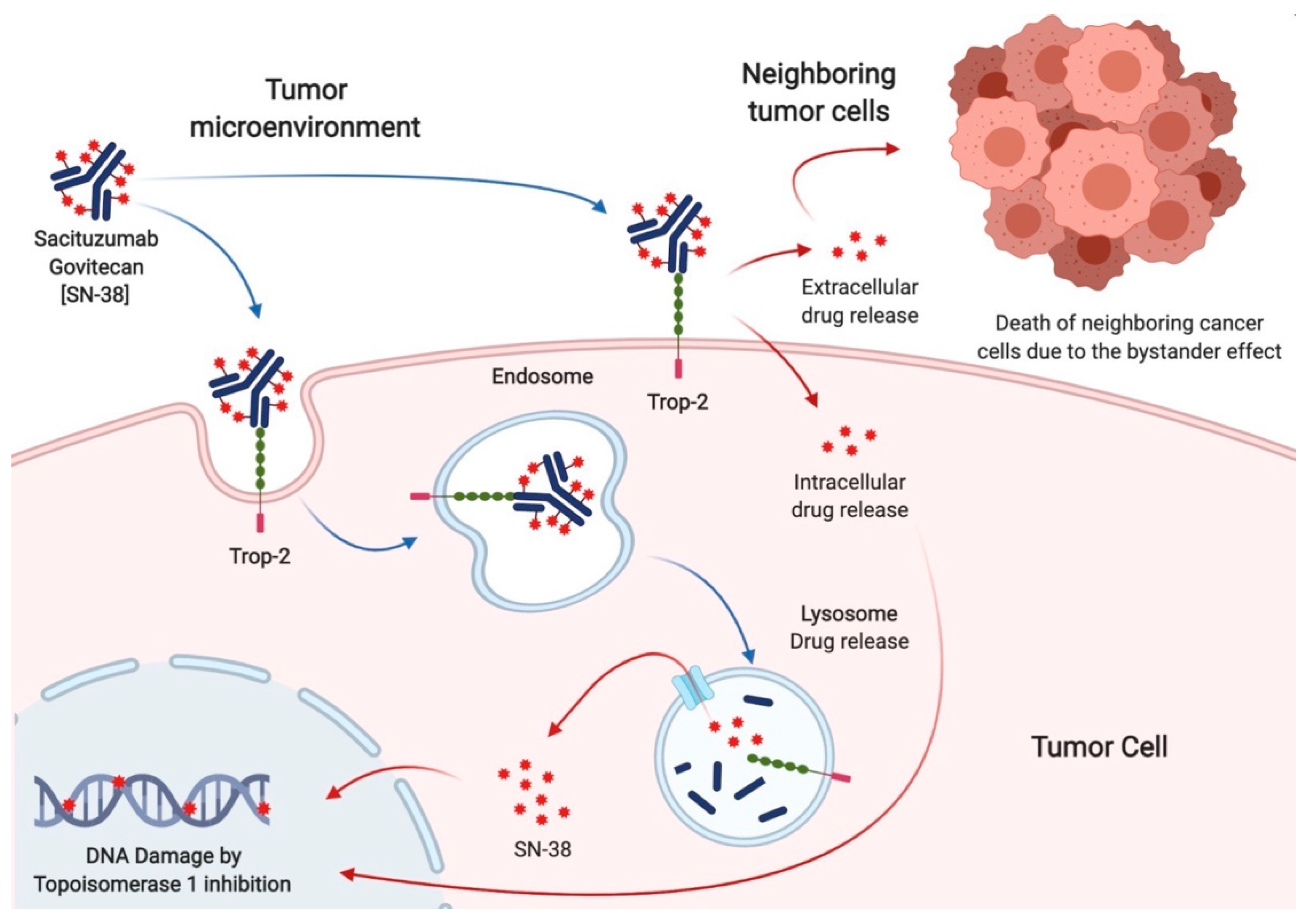Molecules 26 07294 g002